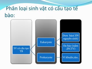 Phân loại sinh vật có cấu tạo tế
bào:
SV có cấu tạo
TB
Eukaryote
Đơn bào( ĐV
nguyên sinh)
Đa bào (nấm
,ĐV,TV)
Prokaryote Vi khuẩn,tảo..
 