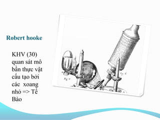 Robert hooke
KHV (30)
quan sát mô
bần thực vật
cấu tạo bởi
các xoang
nhỏ => Tế
Bào
 