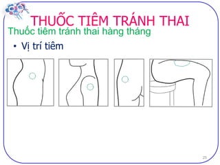 Dai cuong ve bptt sv (2)