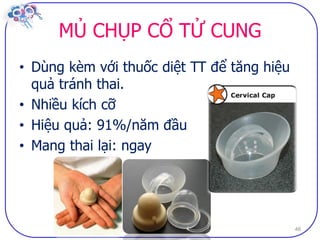 Dai cuong ve bptt sv (2)