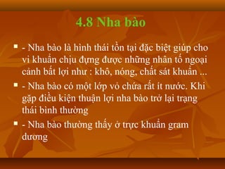 4.8 Nha bào
   - Nha bào là hình thái tồn tại đặc biệt giúp cho
    vi khuẩn chịu đựng được những nhân tố ngoại
    cảnh bất lợi như : khô, nóng, chất sát khuẩn ...
   - Nha bào có một lớp vỏ chứa rất ít nước. Khi
    gặp điều kiện thuận lợi nha bào trở lại trạng
    thái bình thường
   - Nha bào thường thấy ở trực khuẩn gram
    dương
 