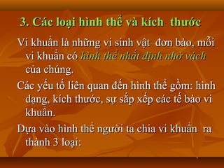 3. Các loại hình thể và kích thước
Vi khuẩn là những vi sinh vật đơn bào, mỗi
 vi khuẩn có hình thể nhất định nhờ vách
 của chúng.
Các yếu tố liên quan đến hình thể gồm: hình
 dạng, kích thước, sự sắp xếp các tế bào vi
 khuẩn.
Dựa vào hình thể người ta chia vi khuẩn ra
 thành 3 loại:
 