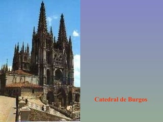 Catedral de Burgos 