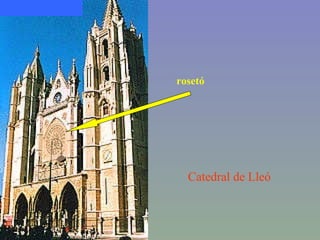 Catedral de Lleó rosetó 