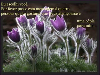 Eu escolhi você.  Por favor passe esta mensagem à quatro pessoas que tu gostaria que Deus abençoasse e   uma cópia para mim. 