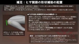 補足：ヒザ関節の形状補助の配置
ヒザ関節は前方に向いているため、比較的目立つ関節の一つです。また人体のヒザ関節周りの構造は非常に複雑で、
単純な１軸関節では本来表現しきれるものではありません。
特にヒザ蹴りなど、ヒザを深く曲げたときの形状をしっかりと表現するには、何等かの補助ボーンの助けが必要になります。
●「ヒザの皿」を表現するための補助ボーン
補足：ふくらはぎなどの「つぶれ」を表現するためのボーン
作例のリグでは実装していませんが、ヒザを深く曲げたときに
ふくらはぎや太ももがつぶれて左右に広がるような表現ができるようにしておくと、
めり込みを回避しながらより説得力のある表現ができるでしょう
実際の人体のヒザは、大腿骨と脛骨が互いに滑りながら回転していく２重関節に
近いものです。加えて、「ヒザの皿」という要素も加わり、本来非常に複雑な
構造をしています。
ボーン数の制限や構造の煩雑さから、その全てを再現することは難しいのですが
足を深く曲げたときの形状を再現するための補助ボーンがあるのとないのとでは
表現力に大きな違いが出てきます。
この作例では先に説明した「半分の回転」を行う補助ボーンをヒザに配置し、
「ヒザの皿」の表現に活かしています。
記号として、「ヒザの前面」を構成
してやると、ヒザとして認識しやすい
 
