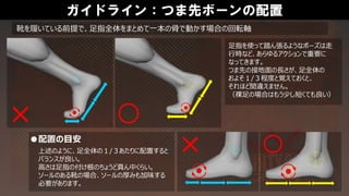 ガイドライン：つま先ボーンの配置
足指を使って踏ん張るようなポーズは走
行時など、あらゆるアクションで重要に
なってきます。
つま先の接地面の長さが、足全体の
およそ１/３程度と覚えておくと、
それほど間違えません。
（裸足の場合はもう少し短くても良い）
上述のように、足全体の１/３あたりに配置すると
バランスが良い。
高さは足指の付け根のちょうど真ん中くらい。
ソールのある靴の場合、ソールの厚みも加味する
必要があります。
●配置の目安
靴を履いている前提で、足指全体をまとめて一本の骨で動かす場合の回転軸
 