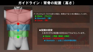 ガイドライン：背骨の配置（高さ）
アークシステムワークスでは多くの場合、背骨は下記３本の構成としています。
● Waist （ウェスト）
● Stomach （腹）
● Chest （胸）
●配置の目安
● Waist ：丹田（前述）の高さ
● Chest ：みぞおちの高さ
● Stomach ：上記二つのの中間の高さ
３本それぞれの配置の目安は以下のようにしています。
 