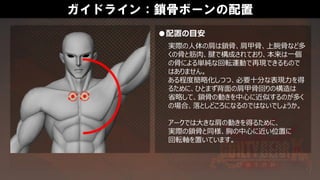 ガイドライン：鎖骨ボーンの配置
実際の人体の肩は鎖骨、肩甲骨、上腕骨など多
くの骨と筋肉、腱で構成されており、本来は一個
の骨による単純な回転運動で再現できるもので
はありません。
ある程度簡略化しつつ、必要十分な表現力を得
るために、ひとまず背面の肩甲骨回りの構造は
省略して、鎖骨の動きを中心に近似するのが多く
の場合、落としどころになるのではないでしょうか。
アークでは大きな肩の動きを得るために、
実際の鎖骨と同様、胸の中心に近い位置に
回転軸を置いています。
●配置の目安
 