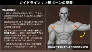 ガイドライン：上腕ボーンの配置
上腕ボーンの回転軸を決めるときには、「ワキ」の
位置と腕の太さから逆算すると正解にたどり着きや
すくなります。
適切な肩幅はキャラクター毎に違うので難しいので
すが、「ワキ」の位置を基準に考えるとおおよその
法則性を見出せます。
腕を下ろしたときに「ワキの下に体温計を挟んで
保持できるくらい」、胴体と上腕の内側がややめり
込むくらいの変形結果が望ましいでしょう。
広背筋が発達しているキャラクターは特に腕と胴
体が少しくらいめり込んだほうが自然です。
一回で決めきるのは難しいですが、非常に重要
な配置なので何度も調整していきましょう。
●配置の目安
腕の太さと垂直に下ろしたときの位置から逆算
 
