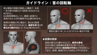 ガイドライン：首の回転軸
●配置の目安
首は複数の頸椎が連続した構造で、本来
一本の骨の回転だけで表現できるものでは
ありません。
ある程度簡略化しつつ、適度に説得力と
表現力をもった形を模索する必要があります。
肩周りの関節と同じ理由で、首もある程度
幅広い動きをさせるためには、基部を深くもって
根元から動かせるようにする必要があります。
首筋の根元から動かせるように、鎖骨の根本
付近の高さに回転軸を配置すると良いでしょう。
奥行き的には胴体の前後幅の中央あたりを目安にし
ておくと、前傾、後傾どちらにも対応しやすくなります。
関節位置を「深く」もったほうが大きい動きが可能
 