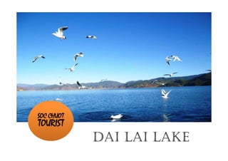 SOC CHUOT
TOURIST
DAI LAI LAKE
 
