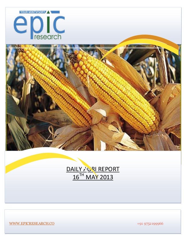 DAILY AGRI REPORT16THMAY 2013WWW.EPICRESEARCH.CO +91 9752199966 