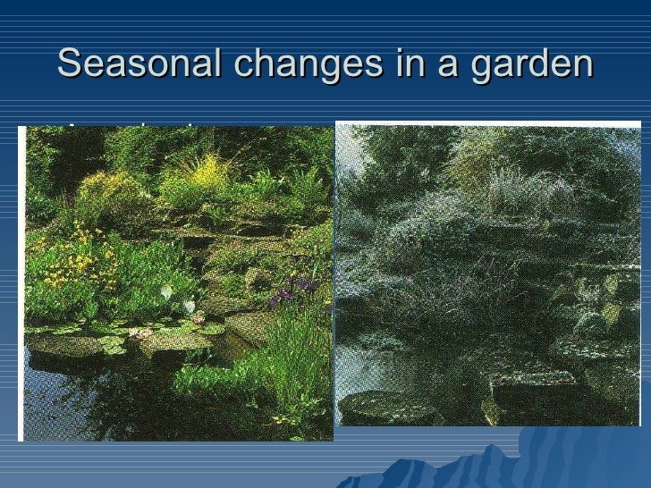 Daily And Seasonal Changes