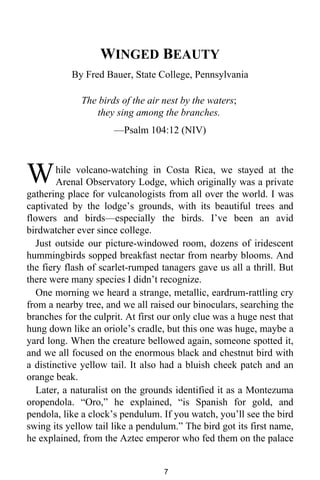 WINGED BEAUTY 
By Fred Bauer, State College, Pennsylvania 
The birds of the air nest by the waters; 
they sing among the branches. 
—Psalm 104:12 (NIV) 
hile volcano-watching in Costa Rica, we stayed at the 
Arenal Observatory Lodge, which originally was a private 
W 
gathering place for vulcanologists from all over the world. I was 
captivated by the lodge’s grounds, with its beautiful trees and 
flowers and birds—especially the birds. I’ve been an avid 
birdwatcher ever since college. 
Just outside our picture-windowed room, dozens of iridescent 
hummingbirds sopped breakfast nectar from nearby blooms. And 
the fiery flash of scarlet-rumped tanagers gave us all a thrill. But 
there were many species I didn’t recognize. 
One morning we heard a strange, metallic, eardrum-rattling cry 
from a nearby tree, and we all raised our binoculars, searching the 
branches for the culprit. At first our only clue was a huge nest that 
hung down like an oriole’s cradle, but this one was huge, maybe a 
yard long. When the creature bellowed again, someone spotted it, 
and we all focused on the enormous black and chestnut bird with 
a distinctive yellow tail. It also had a bluish cheek patch and an 
orange beak. 
Later, a naturalist on the grounds identified it as a Montezuma 
oropendola. “Oro,” he explained, “is Spanish for gold, and 
pendola, like a clock’s pendulum. If you watch, you’ll see the bird 
swing its yellow tail like a pendulum.” The bird got its first name, 
he explained, from the Aztec emperor who fed them on the palace 
7 
 