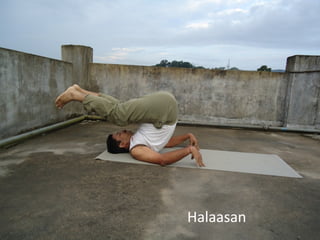 Halaasan
 