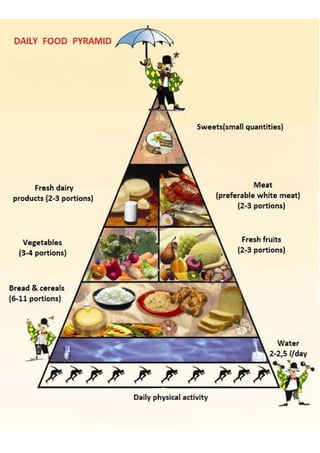 Daily food pyramid 
