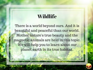 Wildlife
There is a world beyond ours. And it is
beautiful and peaceful than our world.
Mother nature's true beauty and th...