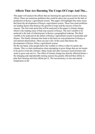 Affects That Are Harming The Crops Of Crops And The...
This paper will analyze the affects that are harming the agricultural system in Kenya,
Africa. There are numerous problems that could be taken into account for the lack of
production in Kenya s agricultural system. This paper will highlight four main issues
that harm the development of Kenya s agricultural system. These four main problems
are leading factors that destroys the growth of crops and the success of harvest
seasons. The first main point that will be analyzed in this paper is climate change
which is the leading cause of bad crop seasons in Kenya. The next variable to be
analyzed is the lack of infrastructure in Kenya s geographical makeup. The third
variable to be analyzed on the failure of Kenya s agricultural system is pesticides and
disease. The finally elements that leads to the harm on crop production in Kenya is
soil nutrient deterioration. These are just a few of the cause that harms the
development of Kenya Africa s agricultural system.
On the one hand, some people know the weather in Africa is that of a pretty dry
climate. This is a bad combination when attempting to grow things that are not meant
to be grown in hot dry climates. Many foods and other resources need moisture and
water to grow and survive. The effect of climate change has directly affected farmer s
the changing and unpredictable raining seasons has greatly affected their ability to
plan their farming activities (Kibet par 5). The inconsistency in rain and natural
temperature in the
 
