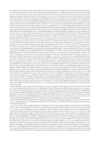 oaonEw/aY8SUlwQuTI/t5K0sfR8iVK8oTrZCDk+PA1ZXhvbPrJ7EXXJ9U75fhXec4a1R9KUf7PquAsbV
2aU+URnXA5aJakYctXJPlDlwfR+tFNmJ8Ol9pJNHwoPEfPR+miLAghKvAh+KrJR05uXrJie1sT3IvKPH
LHiJH1/6P1H9E8XVH7SX9ih+DCk4sxsG/8AJElyjDxElRLG4oitX7hSl6P1FdciksRcohVceFCIonxLZ
HsmmyxFZvaySrlEZXlqNaGyDvJsUhyo1OQs5zvjJijatCjY16MJxSpkvjxlzEi2vtkShDuh4S/cidXwj
Cd2Ti60kVBOkj/sR8SIqjFXN7fqcCyW2T2NDQpSiak+tl5a0iTcnyQ2OCfOT6IvhQJaILk1Kcm0RbFJo
c9YuYEVVGJxNkJaXwcPkcdPR8XmWpimtWka8MFliK45XtSsUUNVkxsu9jFy+DSONSvd7JEFS2YnWz6fI
yJIohNxYpxkfIw3+5FmC9XBKdOmYcXFWxqRDEvhjFuSsXCJYiQ8VjyvasQuxvKjSUXlJiyaGmKFFDgaS
juW2atZaXV5qLk6QtiNdE3GXLFLQ7R9f37MTGnPtnw/kavskTjfKIytb41FWyWI5bGxPLXTE7yuixi2N
DkK3y/Cy6kLdjfsrJK2YUFExo/dqQskj/w0jjaLyZBuMky7jZh7oIlLU82MsUsqKEismhPbOIvCyaIO1
ks4r2SdqhxcTDXFkXSJs6ZqEmxIYuycdMqzZgYl4VEFS2ofHB0Ob9Gpl2PNOhZLZIW18PxNGmuhNibEr
y9ZYnQhv0SKELZ8mHUhZM+Fza3IfZN2/BDrdIjtmvfjcqNQpIiPNq0WWPc0OOuFGkoaPgw7YxbEz2PwQ
yWbJ9EHwLZPoUi/BKWyMnHojNSzorwNC4MVVK0WaW+jAhogkWJZqBoNFE1T8EBCzbJJsjxtbKNKGmhc7
GhxZKI9qbYo/lnKHY/BpHhxfDIwSYqGSXIneSS9ms5KJ/34IPZTZRQ0XRY3R2UUUNC2tEqL2p0WnyKn2
TlyX47ZrLJKL7KyWbROH43xysXOSzkhHe7qWxZYne9CZJWP7RMT22Wai/ySimfTEpIivzsSKzlhlZt6R
PggRwvyPCQsNiiUUNDPYu9l5YvCsjLNZT58Cy7HBro1CmKSFIsscyUrI4rQsZI+omfURbFkhZvLEjl0S
X2mDhOZDCUN7JHsfDE8rzxeVRFiZYmSZdjL3LKyxqxwKOS2c+FCLLLGxkhjZpTiRkKRe+fGU1a4IzFK8
rLJy5JpwlQmJiGPiWUoikaheC/JPjkUhMssTG+RslI/d0Rw67JP0RiXRFie1k3znOHtGo1Fmoivu1MxV
rF/ZE1DdmnV0aVQ40OKY4Ciyiv4TJKuURmajURkhyVksS+hQb7FUesvZGRRQmJ7JSoexpPs0opZ2Pkoo
rKyykaSl/Bva4fg0yR9wtTNDIxSLzkrQpEJ53QpFkpDlf8AAss1F7G/41mossvOcfaIyIzFKxmocyUmx
fxr/hajUajUXsS2vDvo+5EcT8mtUXb/ANmv9XhT0Oz9SvwQ+TGLuh/Ki+NI8eN8I+qn2fqF+DExdfjss
ssssv8A1v8A/8QAQRAAAQMCAgcFBgQEBgIDAQAAAQACEQMhEjEQICIwQVFhBBMyQHEjQlBSgZFicqHBF
DOCsSRDU2CS0WNzcKLwsv/aAAgBAAAGPwLO3BFyBXp8Rtvz8GhWO+jQV6+QhSo1T5ILpqHyM/CAvr8Bh
TqBEeSheh8j6fGum/z1o8xPx22pO/8A28ofJDyg+F8vITuo/Tczup3l0fJnVv8AB7b2eer+/kAPLnl5M
fC8lY72NNr6P35rpr5fE7fC439vLk+UA1Z+Bz5aVz3/AC6oKy/f4GR9tRw8tHwm+/8A3R0TuOXm2u1J+
GinhxOIlYMTTB5Zp5awnC7COquMJ8hBG8jRCPwWND+iaunlo8ti5LvBxyKxOxSy9uKp4WwMzfNQz3LKZ
8h13QBzU/RQNE7j9ln9d9G+MJpU89B6/BY14OSNAHZ//XWzTJIbH9PFQ3MiwCpvJMvtCDXZ5npvraZ3P
pptuuG+nVO5yhW0z5S/mWvi+LDiTG8TIVR5EwYCoj5dolY3+J999feHUv5QoIob6/xEsPFOJza0kQsOR
lPruEicNP6eRv8Afe3X7fAZ1uq+i+nw7H8phPPET91TZyai52QV7dNefJRpHl8kUDvJ1JUctwfgpY7Ir
CTLTZEZXBVsk2m3N5zQZTolxj/8VtG/m76h6ITx1st3KndBRoGgwp0nXO+nUnyveUxM5ozY8Qmu5hUm+
9NlDTnx8hlu44LppOgeRPTdk6s/DTofUGYFkD7ws7TiZAkXlFlTNvhjigOmnKPMwUQOGmEennChrtKz+
GMZ8xlYHWbUEfXUjgjSi4QAEnFhhXN/NiPqp1Bp/fezqxuJ0hQr+XndNLQI4rCXTOR151Mkz8ugd9iM8
QNG0UYziyklwrN8V1jpudTq+tim7Hdn5dPohHFX3IBOe5vq7K9Nad9PkMtaeflJ1BoteFnhPIqJvwTGu
BF0SP6Vhe3ZdaOSjcSEJ+XRVZxFwp0SBiPAI1S4mq7P5U1jmbGboOZWHTlKjL1V9wY5JzXg7Js4jisQb
jd8oUD58M7y+anhqdNF9+VGiUeuidMr11JWeieOpB3k73Zj6qHD6hSc/RbOIHkckA8NLHZFpyRayqA4X
wnieiBeCx44jMK9nCzlfjuLfKNHrojRKnQIuVOj+yk6k6jqkTh4KracHBMdLmNYbYeITBacWN18pRExr
/VOg34ISvTU9FfR+6/bdHWlRz0HdGeKhSsI9d16qNYKNzlqZKXBs/iCghob8kKWuOA3YVJ8QzQ/8jf1C
BfmeacOLdf+kaGPRxO8f6aMioIiFGiVSo5nN3TTluHN5hPBye2CmMw37uboO4P/AJh5uRDiT3vHfdR5O
NMb2CgeEIqNFte2qNzGuWnipLcQ4OCw1f5bueRXeU70/wCyYYnA6fRWMkmwVQ8XmVcxeFlqt/INLCXQ1
rofb7IU59CRdd5SrOFfjiMh67usO7q/J/0u77w1GcMakCDxTnu8LRJWJ38yrtO3kN9+m4weap4nAl8Yo
6Kj2f3icUBW+
+pOkITxQGadq+vkp1TuQfI318tN91he0Ecl7H2tLjTcu8pHZ4tPBbU4HZO4tKY3hUET1Ra67pIKLT4m5
ao/INL6H+pH6LYH1UqHtPRwzCFKt7VgMtqAZLF85zRa+7TmCrLLd43NE4YlbLAOSxQJylGftr+qDuDLJ
55JuqFDvv8AAI0j4HiGxU58D6ogiObeS/8AJROL6I9pj2ddmfylOePDgAlfMOizThxYYOj+gaWP5FELo
iQ3admgzaDjwhWEDkNMbqNFxdF8wBmnPjCHZDjqX0hOp5k3X90Tw0Sip1DvT5HLUj4DJdCLaLA38ZQFQ
NqRxOah+KkDyuhTZ2ltQDg+yDsZPZ6hloHBAsd3fosNWGn5hks/FsuI/TQ70GoOo0TqzoN4srnaGc659
EKdd0FzC3+qVhkvcPmQfVdMZMGQUnWlSgeCcOZhBvy6ICuohDLSfIwM103kHivTz1lJ1Xni44dS6wY3Y
Plm2ixQvDuBQxCCQqp6xqN9EJ124rDmhgqNIOULEylsO8QdbWxaHdomXBuUcVITqdM4RT/
+0qrVe84CQA5x4KGs97DnuBwU89Eq+gKdXLRfedd704IDlx3MT5bpqva3xN2xuLJtN52TkflVX82ow9F
Ou1rjs9E4MptbbhZTnivfhqFBYdHaA4lx5dU1ptZV6eENxztcZHFUKzgTT7P4mg3J5wm1CABTcYga2ei
6lZKVnK6a3hV95Oj+
+uI1uYXruOQVgr+Wnhpmq8M6cVNOk9/rZOc1mAE+EcNUwJhXbow8Cg455HUaYss89cDkEJOrEqVdGOCf
UBBZ7/Q8kJa5zsg0e8qrHta+HAn06J5JJtGWYTaVJuFg4ag0zxV8tbZ0dNN1a4UaOG4hSuq6bnrqf30R
uL+Yw/ZGj2d2Xif/ANKTc8zrzzVSiGzhMYxxGjELhH76g6KRrvFNrcDPESm2i5U5L9tGagVSx3PgmvLO
iIpuHSVVoNd3b8y4p3ZnbfecWpveH2jD3bz6IuqNteI4qqHgY8x6a5CPRSciNTCsvrretlDTEI73+3w8
uZ4icM8txZuLpzRDaJY7gQck4qdFY/bUdTKlYx9dXFx931U5g/r1TXYiWxs/hVM520wriwN0ODcgoTmV
BBHLIrARkbdQq3dXNdsCFHHmqb8rwUW0z3hyUPbiqcmKKcUR+HNGhWdieLh3MaZa1eG6vDEOXPRdY8oz
XTVjgr2hTG95aMtGW4L3uwsbmU1vgoEENbqR599F3vf3Ra4Q5tjr4m9le0/6hMhOxgfRQ1W0F9IgDvBP
NOjQCmTkTCiqyBljFwnOvHBU+8qBveZSrm2hrZGJ5hoKcGGw2G/uVDfCLBdWGVT0RoI4qF3cWIzPNOrl
sTaFTw1yMfs2iMlUw+Cnst+miFLGtD+LwNEGnPWUwdCstGWXJZQNB5hcle+5zndzvS4mALkqG7NFvhbz
6prxm0ym1G5PE/A+9pfzRm351HHlrODg93RgRLGVG/nU8Tmsl+yAcDsuIlAtvqMqcDn6q9x1WEta5vIh
YqXZ2lvH8PWEbzZNr1KkWgF3NFgp95UnaOX2Vuz55HEnQML2eJmrij1RJMdU2SR7xWxib1m67MLQypI+
gWL5zOjC3UxMeWnmFLe0VPuv8SA9nNua2bhXbIK4jyFR7LuY2QEG1vYv5+6fJns9M7DfEeZ04eNMx8E9
qII/zBaE4UXl9MZOOrEwmQCbZ6jI97aKxUth3y8CocMLlhI0PaOG1CsjYX0VWAQOSpUxmVIMvonu39eq
LPq1MfBwu2XTqniFTAnZdiI5rPPQKhcxtNkjqSdFvEdSe8Z6ErabGluwTiyhDp5H1si3koG3T+UrvKZ9

 