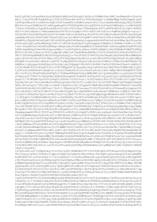 Ry8jig03Hi1e0qud6Kxlhy6LEfAbOCxMdibzG9LOyQG/6hUkis35XBMrU8ncOW57ys6BwAzKP+D2eG1d
Qwlr/lduf4Vh2W+PqdbFEogtj004lSYTGwsvRA+GnVu0/KVhdZw4q6p/i2dGWg9Wgp7wPALDqmdl+pP4
ua9F6pnfMcx4tfjoA4KJsoUqX/ZTkFIsweEKSi48dWJIa6xUcvK1C3IutoHaHksHBvPyZp1BLSjTd9D0
WKkY6cCvasfSPMXCmnVY/wBDuqxbxgK9vVVP8XSqU6bJxDieQVR5Ps3nZ9dxZU6WFwqDicin0WtBdS8V
7LF4alJ6DhkROuJ5qsXZ4zubFBo4oDlZEcIT6fvDaau798eHqOSxt8TU1w4EFEcM9LDzYjJgB+JdVNV2
GPCU+tZwYLdHLmrriVmmuxmmGGdnxFd7XrOc0ugNptv9VY/dd00/mP7aA3nru4qWOwnyNgpOz+aycyi7
G42kZDR3tRsk5A8PKyPG3LSO01RtHwN/fdPonJ4zXdVhgj9UzFT9jO0V3dNuFo4bkS0GOYX+EqvHfgkB
uabRAmofEc0GjIW3D+0Bh70ZxxUtEDlue+eI+WVZU305qkW7vIR6oVe5Y52KIxIPAwO8Xou8FsWY5FEe
6bhMfPujTQd6hfmCxOOyM1/EV+A2KZ4LgPRSVA0Rw4aL2uqpgnA6Gv4HT6eYx0cHc88Nwr9pf9LLacXe
p0S4ezbn1QHlcpTmcMwhXqj2Y8I+Y7zBVYHt6oACByG7vyhHuaQp4s43MqXUcJ/AYWdb/kvA8+rlI7M3
+okr+GYymHVLw1vhGnBTaXE8Ag/tMOqfJwbo9VsNCa6pBMZDJYfeHhRYbNf+hXUJhuQBBhS0yNFPC2Xd
5kEKr9qsBGdgrhSwn0KxfdqzsnHEbritnxDJPqPbZtyhRazu5GK5lbNmNs3/AL00XAbRnF5WdPTjKNSg
MTOLfl0sYRfj5dnetnCZCFojyBp0Wis8WJJsF/PwdGBbRa8RGEhClVZ3Tj4TwPkTOjP6KoX5O8PULC25
5BY+1TPCmFhpNFMdE9lXbYDn0UgyFa6dzQjlo74cfF0X91Z7m4TfDyTa1NxqNiZA2h6hbVMteOMWdq9e
ag6jiB7SntN/dGoPfYGt9NQu+XPy3TTIRqUdmp8vByDXCzLunzNldRvX4PFhsURpDGDaPlGtq0m1AMsX
BTSpMZ+VunG0e0b+oWOk4tcsNU9275uBQcMD6fFnP6qzhCtMc0xvGo63JW8Lk+fVNw1A5zWfVXKxA/TR
bNQRks1lqXygyp4ZDoNSQg+kPZnh8p1opU3OQqdp238GcB5P18zKBG/PaKDJYfE0Dw6f4ms0iobNHLf5
L018tGKmM/E0L9lB2qXFvJSIc05FO7MXQw5R7q7qsxgEy1w5p7qZkPvh4gr9EQ7NnhP7KNN1GWi6jQU5
tJ2F5sZ4rA4EOHu8VidRqBo4luiAuSj3TwRLXGlhtOco2xnhtLwtaOrlNav/AMQv5WI83KGgNHT47ZF8
d0/i5nFCoZrPFwXZD6KePkPVQfvr7H3KmwPNRUpB3U5pz6NWA3MP/wC1gc0mkeXBS11uiwO2gsVJ0j9W
oVsAxjxOZ73VNk7LrFQfQ6RplA8dOOSALeqm08+KzWOhFI8eTkadTYIzQlpaDcSg1tyUGNyHxSfPTokK
QuaGi117R7WfmKv2pn0UDtLekqT2ikP6ke7rU3R1Utg+i/h2XY3xdSsiFbLiFLTIUzBUix5I1qdh77Rw
6qiKmJtR+yX+7KvnoKk6Ws45nR8g5uQYxkhvVR3SvTI+ujERJ5kI1HjvOU5BF7Ww4iPgUYmg8p3UmwXd
9mDcJ8OIeLqn9j7YRjiQBlvI3me8l32QdJGi2nEc1DtqpwYF/MwN+WnZSdNtEseWH8J0RmOStcLEx8FQ
9uB36FdV4A+M2cSOidRPtex17Dof+1/B9pdkJpVT7zeugacTjZOOU5nktkX5ovP00wxwHVy2ageoeIPL
4G+taRlKd2tlHF3e251Wxf6IV2wJsWz4dyQRI4p+1AgYeEBUnueXu4knew7dXWe6krlrXWLOo7wN/dFz
jLjmd1Cc0DheDks7Qu6ruA+Wof3UyD+UyjWaP/Y3901ziagI8XFqBpOLQp2Whmbm5nomB75ZU8D/ANit
iji9Tkqb3v7x5MGm0eBBnHj66G+uiPd5KwX8y/RcZ80IzO5mMnZptF3aHYGjDAtZUnsoCn7tUN9/qg5r
pacjuMXduf8AlVV4pue6cgMgn9oe2D4W7+2pFSo1p5FBwcLrxj7qMQn1V1hy1Nt4anNoC3zFMN9oSpcQ
B1WJ1dgHOVsUz6lSTfcOqVM8vTVyU4dl3VcRo73wibdViGgVI2hYwj3T8D+LDcI+96KWnC7mFi48QvZ8
jhn/APlMJEK7QU1oc4tB8Lk0YiLWPyoPLAHU720s9UdGEZaA7iPNAjhualP5mwjQLsRbxAQzibpjGmWg
WncmeKtv7K11AoCeDiUfAJ6ZLHUidFypBVnoY35cl4mmOMK9OmVAws9Fie4uPXQG966BkJW04n1WPLlu
ZRqdmgzmwm4UVKL2/TUCY1wuTP0Xf03+zPEhFjLDiSqbB7oVX8Oiq1roxDxaZi6x09vmOKwl2w/P8J5p
rH+JshBNHMoKqeoGnBz0kctEIorZM+XKuNzcDGMnfssVSCfl84QRiB4KaR/pcsLhB3ctFltXUAbvZO2+
zRy66mIsxckx1cbVPJnAp5BhpNm9U2SfXmg7wAqoaLjcXnmuqjnphAl2ELvMHeDi+kb/AFCD6bsbmWPM
hBCMpX1VX/2asgqTY9FZFx4aC1gicysKv5eeB3znucGMbm5yihTfX6+EK/Yx9HrDUBoOOU3G46buNOSY
/nbd/wBWnpuYTne6LN9NZjKjZY0zZBgFm5N5LA37Dgru0D0U6JPhbnoltlicDTq/6lNd9TYHj3jT/vCg
cCnKtTm5hw1M9eWnTbyA1eo33cf5dMWH76nZ21PGGX1rG27LojVfzZtacLRJXeVNt/8AZbVMKzcPosQ2
m6lQfi3jyMwwxuMTTfUOlvW51JaSF/iKIJ5hE9nrT+F67zu3Mj3m3U1YYeYyKn9RpM5FTm3moBk6ML3X
dyQir+i2SHKCCDvjbcc1yU8d77WWvAgPCwVRIPhe3IqU3tXaWxTzYw+95eODrItPumFgZ9TyUNHqTmdW
RsO5hbbbfNw0Vh0GmdzHMQjTe2HDdAL10sH4df8A6W3QY6eiD+yOHcuG1TOQK40zyd/2s/sow4gvBhHN
xR7mnTx8cTYn0Wz3dMH5WrETLjmSu6edh2X4TowuEqCp8jdWV/I4HsD28iqT+5HtDAk2DlfPUt5Suxuz
TxSXckGMENGvEAjkUXdmz+Qquwgg4ct6K9MYoEOAUaBgaWs4vOSdRpCG07eutWrZGIp+qjlobrzUcG+q
9jTx9XZLFWIvkAIhFrsiix2YVrei8TvugZdjbk6VNQz9FGmHeNmeieSjyHMqTvbIjWe73qTmVG/dGNSN
3dyho+vkseEYo
id7yXtaTH+oUt7LTBQ4Dkq/5tVvf9o/pYE1jBDW5BGvT97+Y0f3U8CqX5tSTYdVaan5VDIp9ApeST1Qr
Vhc+Fqvoa7pG4a73TY6Prv7qBnu5V9QxC5arqR8L8/RRvvVR5a+99ofQKt1g6nevHsqf6lYzmidHeMH5
mrEROA8F7w+isCVstDOql7i710ir2gbXu0/+1J0uHLa3NOpzCA+ugne9dzK2q0nk0SrUqjv0W1QqD0K9
nVE/K6xUZaeXlsvLjd+KHHgoLQY6Jva6fAQ8acFMeruSZSZ4W/qgPqjZEodAjGTs1fPUwsbJ/ssXjq/N
y9NWDkUQeG4qUSbeIInnoHPeTNlJ1Mjqd5U/pHzLbMN+UZauCvL6fPi1Agy05EcfMT5fCd1dWur3RsHW
yQd2XwnNrj4U+nUdJZyXKSja6j7qOAugNN1kforMP1XtnT+FqwsaGt5DXDuDtEazettHRu8ur6LLDes/
k3JbGCkPwhT/E1Puv52Po+6w1B3L/0W1lmu8P8ASOQ1+6efZuNvwlRvTuz5eHX1sirlWss9NimtKr+qp
t6aJOg778t9E6zT1UDMrCN9CNHs5ilxd82s6hMsPPhucT86eyd7PwcaI0jorcNAVf8AMo5BXK9dEb6+W
SLeIOpGo1/Fw0m25vpFFhh9XP8AL5DDwcMuvxHwlThO7q/
+xX4leFX4eRFT5lOjLR9dLeWEQOSyRQ3N9AVR3AHCPIUnfiUeYI8sS4wBmoo7A58VLnuP1WzVe36raIq
j8Swk9y/k/I/XcBdorvEAuOD/AL8o5nHMLD0U81B1GM5m+8iFYN9OOieXkWfmR8xPlS5xhqvYDIa2H+Z
S+QrvKTpHEcRqZeXCng7aCMfbROgqpVPu7I3mWJSPsslHQ+RptHzI707vZj6raBCz8nHBtgNwKlJ2Fw4
rgyqM2c/Tc+nkvxsuNJzXgcfRq9n2eofpCbTdd+bj1R3OatcLI/ZZFbR+ilVWcneQb+ETvb764CtZc1e
29yWS4DqjuQ4GCMisLrVhn+JRiErNZHV9fJSnPDsLHHwhbLPugAVnpi0KeO5lpjgSvGfuoxeq5q/2TO0
Wh2y6OB8g6pHjMD08xx17b6U9vXdYmmHDIo1ajQC0Q4BYW02hQYW22J4ruMbMU26rGaogcEeI8tKOkQp
GYUjNFxMBqxMeHflOidFwuSiM1AsrlZ6KlF5IdUy9UWPEOaYI30DM2Qpt9207m+vGvZXPlm1R6Hdiqz6
jmE2tTdLH5I2Tjjc+Tk7gqj3sBcQDAN0De4iDmEQflU+VJxYeoTQH4Xfo5AulruPIqRwyjigQfVqIuBk
SoWLLqhUY4NfzbaUDwHNT/ZG8EcFa2vbPgu/N3e9vjWPCzfIyo1IlTkPL43/bmpdbk3lvO6efZVP/AKl
Fs5HNqyn0WCowY3janiuLRlB4KD9PKwfCqjfx80Ws53aeC2rHIyoIi6aXXnjFwrOxImn4uRyKgsAF8jk

 
