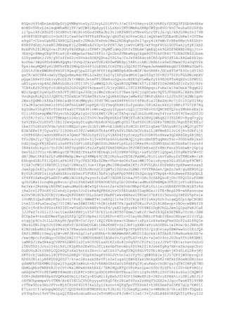 B5QnJ695dEnLmdDDpDJjQVMBxVosGyJ2JnyL2O1KV9i3/wCI0+S6myrzIEjOhKOzfDCXQ3FZGbUm4Ekw
mcNDoYDhvLImlmqbWhwMIjTF/wCCWSlRpAyySIlLzHs1CNT0MmRaSRNpCWTgnRVO/knC7euhahDlZPds
ii7pul4FcX8hDT/ZCnNYnY/WiRtvDGodYHKaJbi3tlvKZ6N05sTNvsVLcrTFiJs/qI/kRJL0NuYnI79B
z85R85EUPqROiO+GnRIPiCxwf0eV9FFPs8FKe0p/gbGTdjkO0vwCdLIlmQkhwkTDDEaGKibNwI+COTHw
x4qd7+CGzsUabPE2ZN8CQ2LbwFrJZMobJFxPnbIMwL2NDHqRgzSnI7goy4ikYmWcYrRKx6Mxjh4SLhD+
BYRSVdOdjJusxRCJMXkmpKjL20mWEzA2VJp+ScPfR7JwtjowVvLWTb/wf9rpF4tG1GOT0ak1yfyKIkbZ
BzbKVh2ZlMUQ0+eiFtRPyPX0XBqkloTPBF+jHyMFidmyJDtfsTNhAm7gmEqjsk9LXZE9EWXbINgjjto+
3EkvQr8MmqUXgVP8ie8jE+xMqeGefkm2Z8FIr/Qv2bnZVNbwNqqIXgx8OTYhkfCR4I7TJERGTNZZibkm
SiVysmRDnliV8/gYCz6Yk02cvDYnknSOXPQZte25ZL5a/CzJzT4G6drzKCR0JpP6CdT1AiX4GaE4XIwo
ko0hm/IWyGPDvhkWh8QqNz/0vVpJCkrwvTUEiXDSwFWESpl5XRtoihM/JA8blrzGxD3NwxC9jaUqSV6k
TpklHeyMQMfyHiUMThrKNJ2MnpSh66PIoLE0NLYtHZTBlu5Q28D35FmpmJeRmmNNkbgbU33RMNa0GwPL
2OU16JObzBWbNzFHkUPI8QxqUjpaZSlgh9FDYlXgSWNDg6dDboWZF/AvO8H8rJDCxkT5H7E3OcjdYI6O
gsCH/wDCVB4odxUyTEpQzRmuHdcFKLLJaXhCfsZ7yIXPySxdMS6IqeD5ZgY3Y+RU37T2PoTGLHNimbXV
pQge1H8eY01bblvyRcGZJk7+BWdtJetmFF10Km8onSQsohcNZE5gVjwMafyY49ED68TsNqXZvcSfWU3l
uB5lyatvsp4H2JNA8rbSRitCF0I3PtjIaWWGQ3Jh/QaGK0DQTWWIk57iZ3BTfDImO8MSd0Infz0O/R0n
7CB4nKz5CHYpfoYoN6gSS2GSUuQ8S5k2paa4IJZjryORbLiIFCS9E8EmpqzlFomaIwlYwOebk7Kqgb22
WGiSpqpCZywUyd5ck8JFTjNSIgaJ30bjslWm2zBcx0If7EwsIp6CjoqSCakc9QT5JF6bD8L/ANPn3BPT
YvuKgnKLKQ1DJJQNT6cT5GxNim7FZAmTRrhcejQuNkkUXwxjwMw4LCfWhPuEAhz+LJJSnZPjA2Mb1gdv
2WxuYQdMhik8XaI0KmlxdB3tHcMWyybc3TdY7MIowkZH8FktUrt6FBo8laI5BxZHcAc7jZtI0lpUI9Ay
lfwJK3acehSmXlrSFOlZAThnLkWF1opPQX/GiYVeq0hHRIZufyxGmr/08iX2xckkSlCsNPiP7O72R7Rq
kg5GRa05hqUVfoTSksYFaaGjTYbA9FivWnrwQuyyI0ypatcLQijCZU6EvUSJQNCXE0Q3syZMvbh4Exjk
Ulli60SxexpWWJ9VyscLh2QQKaIgSo15GkXWY/2BjaCfA5qivgZibLGuHErmy54YzxIvD59C4wuGSfJO
z55fK/YzCi/4djTTMmkptlD4niaiCTnOVJkaG8pRSEsd7EWjETuBCkSBVQ1WEqX2J3TLDKU+Byq0+yQy
YxV2KXoCUiH5VT/0El32mvQskyZtuqNoVbhAnK9LLqMtgUZl7XaFSSUJKlGDKn7EMSShJRgnET4CEEuJ
lbeIU5c6hkVOVdaJyhkUrMXQztywvJn1bYiWRvhEldkMjzPzNC0t4VCDiqZwx7ZAUyxBVIylMQJCg0TV
E3A5EKeI8jGyuxYG/IlZOHtsU3P2/wBBLhTh4atMTyhSVifNSJkCVoXs2LiWYWeE0lJci6j6vSGbFijZ
+OUPR6GAv1wdvnXN8sGtk3QmbF7N0JoZgY2ILy51A8D4fYyfceyyTz2OSRVhsXHxw9q2XRZGXy4RjEbj
TfoJEmJ1y/7Qjrf6GLhMkleJoyShD+Yl5v4Z8Sxk60LdaUWJQjtyHrzBehBTqqRmzYdz+0OOhkXRjka0
hdGjGaQoFRjRDaUiuSx8FTs5GFIuSELfqB0SShJRA6Flp8LsSjORkeYKcn0GMYdSe1HCZbkEwCIzes64
IRHk6sbckyro/YnfCNi4RfGyqSNvlFs2aFqdZf8AX0XNLbn3FJUNfCeEzeOfn8NcPxnsYUsbwN+j6p1g
Smv5L2ICV1r+RcWbhgrCE7KSHD/Fkkaf89EDkqhlv0jUXKH7GVQi+zaFLCGPIlQ0pwLI0YyMkY0CW+CC
dH/3MatYKd3x2LYuMB8MwHplWw+gf4MWp69CJEjURshusDX5EJRxBWLJ8iUlukvYaBuyfnT8MUxWv/zR
Ekhqn4LXiTfI2Q4SlxPklRfIVyJPXZCKBzD2Mx+Vhd+dsO6cTaeiWWlT0xioHyrpk5Gid0LHcpP9CWPl
YjZA7vPWjII8B5FCljVaD/cRNosY13oe+IPgeyMo10WzbwEm1KTrJhFV0LEnlfhFmNHrYpERwwnhsaxZ
Jam2ypJx8IyJod+/gomSFM8X+SZIhcMcndjSIgWTz10Scdu2LBW2/YPYFNAGeh/QmZrJxN/guHENOS1p
NjULRlKdPIs1zyXaNsSXozSbhmiF5FUEki5bFsjqfpKPpD98KffhSQzcppYTRpgk+RSuHweeFXSgOpLS
If4P8IZwRsQPLaEhT+aMblNJIkXyPayvoYiZuK7/AODK32tbaJ9T/OHc3cfA8QscEjOh/TFQiUruFSHM
qJS2LMs1IrnqNkypBvcn/g5vLYhNfwEE3P8AUOK5DLyIb/D0hKwiadMuS6FmEMQxJUTJCjvP1zBfGans
Re5kk+2RshHpiN0PNCzwbudMaU6oWfwYQI+hvst2x+kSkUvbCMhpf9LKj0LijniOGB6EPPCMiNjETr8d
j4w2rn12TUoXYjG1ehdjIgvbn3Jo2IeRw8QPB6HlhvCV5E0ubAhTSapNGxicITE+MngZPN+wkKxovoxw
xiVv5NiECEJCCBjVjWxoQh8VOXHY7DLcSnmYINxKF1wkvBAHav1TKOxtU7b8ISi5booGy2HKZU5pPslx
lUnMhYlQaPuBKcFPpl8cOl7PoRj/AMmBT41jeBfQlIr0e35ICkjpIKIInAkyD2h3uigeQZCpidpCXOBS
ltmI314PuxDauOqJ/UIIMG/weZ4WSIRBI+hOBjrA4E7Fk/gaX4PDKuiFutZt8lBEeop+iROvceEW6f2H
QhCoj9cE9cPPDzz88SIRIvwTGdD2Gv8ANy9osFd/yaE23g8ysRk7OY4WSiDqKOhGLJemIQIpaFwRJCaE
jJJFwZ7rJG11I3/eiU1wzRA0RBYjoY5P7X/EILcXiBT907XmmJIwKiF/9eF2E3QZkZbTWXu7Yrdt/ZNN
PCDpZw9+xzdDDWekTypZGffQ/QDY1HpHs1V1L8EFo+HTIc+UIxy6bJRNrcF9dbIVEmzO8bywcS1V/YLp
s+ggjp9CvJt1LLUhkyHtJpgVN+CoCJyr/iEQ1YEHcbexctUbmn+isEyzlzX4a4wqFkeOGrF2udi88QIe
UNz4L0Mi2OpUJtSYMczbKvP/AINSmOULWijPm2KHBT+Gz2JbFiyXHN1xFcLhOSKHijwIRvw/AlJBEhJK
kIN2obbsNh2Seyb4T46Ck7FEwuGnhZeEN7zll15GGCeASTpIPYphTS5Z/Q1dCeieySBWPwwGiOIE1JQ6
ZAPiJMNEltSmglqIW+oNFJEvkZg21sfyd6Nhb+RcWARWmHBfuWhUlIdockk1AT0AzKJlNaNuxNdnDD7e
/ewrMpccfsGNqycCO0bCPA2IY7cXMDUSXmE0IAGBsV+JipUTL40+hLBr+x2eOi4nrJUJbafThiN8ZMHl
iwMRZJlHwfNkxqCU8FHLZWH0Iz2Cz6C0OVIaaHiK2rXo8jn0q9OtCFiFxljzzJJPkT7EKlxrhxnYeSoG
iTEGTSSjJotsl54nlRPLIRIpKhnUEwVUu3fCzke6bFhecmhuYSU9k2fI4JseefgRg7HR+xSkogspChvc
DuEOVuBJtOYNPLCQ2eSQfsXaU9ntGiSXvcl/aEIZ637uhqP2BQ08diVTSTbiBGydm+jRYd5L4LD8sjMj
SKT0+hjLbEDxLI8CFTGvLGHKQV/HZp6HZegPYS6GJVt5nIxI2PyTC/qEWYhEIejCJI7GFSjWZUproQ1Z
RD6GJN1siyB8KDD4Q0SS7/k+xc2XzsakSEeYFixIwIugaGjEW6XZxkiNnkgXDH2+NfkkfRoeBOGNiZss
gdkMFhF0b6MMi0zpwiI5gxQK3xWxuh+bJv8ARbGXkSxUzSRkEFqI9iwuXwxvrhGB/gaIqT8CINPyE7NG
GbMLqRbsTNRR6KJcrCYtvNa1MPwXvXkhEkZ/7EMlNQzBTQ1VFnRsnIpwcU3Dc9iGF6/z12U+4bFvRG1r
umGgUwTC0rFEfwMEP4HmSEiZLK8CvSEGjpdSOLPRUOmYTAoalOU+i2g9sVEKi2S0f5Hlku6SajCHQWUf
0fK+JmHHRN68pkSVQKkkEUmjLjYxCy+EOuMli4yKehJfI6OVI9kWeXFiE+JHZviEPAkhiriSRiyN2JiJ
cHYNOhpwmpwVt0TKM/ArE0IXCLCYhOhyyyaPtEgD7Rr2RLwY4Vzs2zHHgT5GZE2eJJgccTwsKSTl9YNR
rYTbw9Dcs9HoJPYv+MjZCXo6F4G18IkaLZyilkonv+4QTqTpoTTSSnef+h3NZSmxFaU3KE7glp7hW011
E7LsrU/f/wDopgNODyO7JQUZ9k8SUBTMGR8tArTJA16L70JGxgKQimHsjs+WKbNcX/0hix2X8+TDQaEr
sV3hpDvu19sV7PeipzQlTZbsScdcaEhuvJsTvhMYncF8JoW+CiIwZ/3+CJoXLH4E65RfQhTIyFAryI2S

 