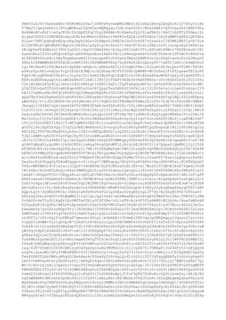 9mRYUiZJ8jVLbkhmERr5POKUMSZfDwJjSTRPk8yUsmBM0JMb8i42zeBslEkvg2QvQ6rRlZJ7HSyfolEk
57MqJY/gwySeEfoIJ9OoqWPRsa2fQ0XCeoMQMgygol5dtJnwZZOF1/BOsLXNE3+QYVOxaJkfIEND39ha
Nv8AWvBCoFbFi+xCqJR5RifhDQpELFqCU5gjB4BBb+NiKkm4yfQjC0lwFNb9j/8ACCiROTTjFGHmajSi
diqaxC6GhE1Z0MONEHokQudCMikkOMkm3lHSRer49BZKOoEQLAiD4FkZAOz7lBjEyMWRYgXRZlQKVQhz
EjLeh+YMS7pxbqRsM2quoKpJqyhS4Gro0fHBpnUJSNRImJds0UckYE7sYxknkrI3kTWAlMSTIyVA7Zok
bJJGFXNL6CqMLMbRPlMgnsvImbfRuCaZpfoyc8rHso23/YkbYN7didic0NSinsYt/onnpuAyk3m8Etka
5N/Qp5ePD9kMsYat39Dt5uG0S1lHq2G39HmfSmr+EJmylF6l5eRtPT+iX9CnMiPRWcv78GYBvAvR+2HI
6abeOBLLC22OtuHVQviETghlpNSHDgsGEusIXbE2fHcjafBezQnxHkUzfLNCYhdkohiFD5BC4+BOhPlm
eC4XCREhYOuxToiZWyTbgmhsnxNSIY1heogpHPCJh4UaGzTMgzGZEMT4Zn3y+FkQ0+xn6zFoJk2MuaG0
4Kh26JSKWMWNdU0TVPX2NJn6MTI4RI2N2NMGMP8AYp7DoXYRn8iEiCQsngVO77eETYjLNvlC48mEOPoY
lgi3N18msN52fAlWakaU1ApEAX+gKQm+n/QHbksH6CLrZ2HqNoVNw/j6JoomtHSJwlpeoYPjW6/9UCKr
aLNte0yc8bjvhdOyo9rQv2EObIE3MEluJdlBhxbJK1FVIU2N2JpWKWS+MCZ6DaGiFt8TygswxTNiSo4S
FqXY+MixQN9DdUI0b4foc3vySxJUv/kdH2IWySTqOiEdKT2rkJ5ElAkkaNDavWVmYIpkyjEjeeKHT8iG
RE8ieGNUNVwyaQth2iaMOXxNhOYClbB1IJKhjZIP0AFf9EXb0kVmXRTRRDs/cPIvBdDfDs0hJ2U2iD5z
CDnjMjXAhSPIp9CglIkRsv28djnM4LqtIfEKOIdqTiIYqSTxRgdydNCkr/gk9oXFGEIsDs2KSwI8rdMl
yOk0TX0vQwTDTD60rwX0Rqe4KNYaU0e387Qyg0TexYMDhS036FkiiklIZlSV9stejcoLwb0UvbGg+IY9
hA2II2pMxsSBLOKFdCyR0XDUqh5PMaxbDXQkKh2UDJ3H4IFBwR9koSFksYwkKAnYXjhCIoeeG4EsYuk1
gQaUTmJOehZRgRw6GGrgkOHYkkhJJKEqeHw50KgSsoqfY8pCWELH4YCsx4Uk8dkfspIWQlS5L0dEKpey
xW6D6Ey/V/rJGtGKUH6+RtykfyMo6mtyTlc9qRCnUUIFBSNmSP8AWaJG1LUVv7GJp7biFkrhGB+0MNkt
JmoqqirO9fA8CsQkIgkmk0RPTzCM8E9D5mhvmZfbHuHIRr/YSLlNRvgxN8LPow0RS/5GRXcIWhT/AOwT
ViPJCt3+h/JePeqZjU0jBgx+p7ITUk16XcyZjZ5lOMzLJ6GoNQhS0NYeCbgZ0lzLFGOaLtlZfAr/ANjR
DxgrsxRA2GH+NlJBCkmx9EoWbNiEmiLgkqQstDJFj8T4Rp7NZjy6MHrELXyQZyQmvBRkExJfIn2ORLIE
NwiSoZyctGjYx54E00sqHdGhI/KcUvL9BXAaZX46GLnKvsxJpyfzgvI4ohcbhG95IMuPjiuxEOW2ZwF7
c9vjY5SsUnBATI5Xk2ITiWFfqWKK4ZBP3Ki1rsaBOVOjos5btkmpPJvwZ+dkeSJQSMtbSs+iOBAuKFDH
gOO0SlXejXpFDZ4Qg/U/gZLLGRAjWmRHobkl0+nsg0yRu0iNk5gX4R8jQqSAupsgb1M1ILVEtKNigJrg
R8CLPQlPY67Nn2MaKFSLybfwclfAYJoSMTQuMDGZIloQ2KL1LkJEuRt39exOFF3JIsvbDNO/eiScOOGR
TJQ1laMHh+xRJZCfCgfZqeJHy9UjStsZEMlwLWLDtIr+S4+DfEk8PjYjXVp0aVowyS1fbA3LvqeEIQvZ
uBiUr22ORO2Lw4XEDI5pIJw2SgyhcENEIzE6gDZTOMWKgpySfbhDe88n0Q5kbSNltEJqwqH8rY+eP/8A
qIXKYqKpdSLyqoHNtrIkkX2NThlieRgq38vg0Q6dMTLLJdIg1bElBZ8C5tjk7QopwZ/QmKNCjjLiC5fE
mTSN5HrB0+xrcmbJXQSFQuZeJyIl7NEiYnfE8QMeFgeCfW0l0tseQTvJg08Mc62pbK6QhuLY3A74Gx9R
hE8b5Y6TMRyDCbIqmX2RRfXBOV0P7NcLLTNIggoMaC9LhdQQZvk2BO0R7WUURHEukkciT2dSJXZW4cCz
wjccNk4faDKSM1xAlwsQIRIzY7UHQwoFIMjehPbvELQpD8yMeJ0YInif2awPFf7EaeolQghpvus9aKEl
DwyUzzFykVbggUy9DXsWUgggvlvYli4oyS7JWNhqngy78Dg9IkxKVkR6vI4poSRG+NVxti8CHTmDpkbf
TYkooWBSWBGt8tFlwIaciJCQeT+YmhM8GkCdjE6JNhowSLBrJEPvx17WxZSvYCONoKlXsH7fgmd2J0ON
lBlk4Bu/BiRsR5LAnQjoRkxo9BM0LQhLhjxsVLVLdexu2QxvghLi24CxXflA4PD4EMlXXofNKzR0/aI5
cwmXF/cEUQgVT5GI+CBqyxKcslvQ8lqD/N8O5mxJkidhKfyOZLvJ4GQgXQSToXgeomSZ0/sMi3zF/aFP
EROf+mxak5fmXwHbH9itEmHkcE/SH0WcK5nx/wDNiG9FMj/ZKM5ilsYudlv/AIgbHpSeDIxaYqAsjGof
0LEI9i4QsjdEiexOZKo83YveCVqhIWIFMtCEqV9xnLSO+cCdkpoielH0E8FFhOxZEY4OvKJmB/wjPShK
XR+hdDznin/YL/8ARJBsgZerQvZokY8EENPBh+HRdK00xULRLqkd/Z5BSy32yEsQRwg8OxyqUTPY/wBT
EQprLq1Y/djNNkSFRIkciRHDyIeB9d9nVhkFLU1p0OEsoU2kqEXjsg1JT7dj/BJZEyB599x7STUoa6Y
kX0yXQ24ko60kh0+CKLMgMM2Ji0sU/QsJqaIVa4f+xhkWexKNrLUoE0qE6ZTWZ85nz2Xe/CKB36CLJRA
2c0eS0+HkT0yZhlXgQk5QuVWTTwfZEiyOCXPZBw/oSlixTE+Alx9F5FIpHBND+BCSdjNc/BsaOhMDokK
S2UyaESK/A1Q0Kk/BELP6LEp2mSmUiVskUOfEFUMCOUaHYjKyNt4Z3P7P6yLD/sJC7NcLi4EIb2JeChc
b4eeMsDa7ycG2honNDpS9ti1J8DHOEe2IYS8DVnZOXaGr29/2edCNSNSZNsIpt/FOA5hv9SSElISLren
8AMThewf12YNfkfGqF5bUS03/AAX2fywL+ydzlLSdkJ/ezZwXyUvtEISpo2bR9ApV/YiZ0ZSWVFH4Etr
ordZFIo/iEfoRqjY+pFWEaE7gmxkw1RSngl/eGbbbEJifDdwNjZKR3qxJqJWKQmqyy1Jqssn2Iyotzkr
Y+QqSJidGWW+0L2IqhUQvB7CaRdCLv8IEnxJojQxLUOKCHEMCk54IvhDCFIlYxTx6J5+RpLLGPY8I6HT
VcbPA+GltCrgzAk0USWqZwpTtH1IfHFiN8GXPwoSRuVQXCkXs4eRbQUy0ddoW3kZXkTvPsCqs9VAo+aW
yWl8q+h4pGje6XbGP2JmvP+nACJJISUR8pbpP7HlIehLdUx49HvY0hVlitkhU1hT9oi6CcBSsvXgtZfn
g8ExsfgQ2ieCfCqVEseBuXLzw/oXBsYaDZp6LbpIfwhQllt+20GI9iljCHnAVLT/QRjQ0gT4oeEKKjJJ
YokhMkzEghHwLKUIJix+BGz3wgeRYmfgTVCXJwJXzgLIyeZ8D5fk8RD2eyK82yLIhiiWPP8CSS4Mbf2L
2PwaK/pBhQWqckQjpG8unyQP4IvbO4M9ux3oZCGaTSGodUXIuo6BITz2TitsM32h6fFkOYj6JA93XsWV
rxq/62K7dtmECCShU8CRMlsyOCwfkeZgn4aNsVMVMSoUz/s1J/QSR7YiV5MXaKj+hD9kFrY2+oNjpQrH
ongTkIduxzMz/AFy35MKd8ENOvZ5TIPbHDcJy3+huqjFafg7I12Gv+Ujq+rOMhujcJCRCEgkNEC4Q4Fy
TwsE6EKYTLEbFWRnyWSqGUJ8m6HwskCPYmx8yZZ4vhgLQ+X5JtDSJlSTI0qTagqBXATyInsUnVyRqePJ
Lmh0+hRNVanRCkcyDbDRJxPSj/wBkQPIXqxcCSXGlmBkUDdixNSoHok/0I2z7G0ujoj7EMOjaSKml7Qi
WU/S/kU+IkjsRiJJQwnhz5IqxrYVjYmSoWkxOfZgVSYVnCyu4eZgw/JU/0JmrfDokkTN0RVsmThqWETD
FMFmNSNDLYT2yZS+8v7ZID2WWSdEBsphuZf8A0WZQqk/A4YcaOJ5F+Frs5+z0O5tlMmUIXK4UQaGSOYH
SsmGLY2kNvgsC4fFk0VX0NyyLIs8LBZYz7L40XGRuRpjJCYuP3QFA7KZBuNicGQ9tjavmGzL/AEiB/EO
oqTsWBXBRTJM5oehm3pORn46Crt5fZGVljwRLuNkttKE3MGDeIFGGJCuhKciRLkQWyqeBQzbeP9kz4Jh
MxOH4eBuFLeCRNP4GsVSuEyPWQyvBI6dvyyLUKMMrcCNCvZ4MEEHYgh3xDqz50NGKqXl/9ChKkSTfCSo
K0jW3iv8AB7QyXmF3fRKJbgT5IiOEPh+BHAkHwEkro64zYhZFwxoih6GdaExPQrNiX44wLJN/g98R5HX
DIEexoT8jScHZCzQK6IpySRMqGM6T7MTZh2NWd0RGf0FukNxsvJNaN0NQ0mFLHgolRBlqU62OrnBgpeW
NMYgqIwIwPI+GIKmygrNYaa4Q8OxOrG1LTeizSwNafaOhMeQs6ffoukVnKyY0D4gh4J+hkcS2JOiXY6p

 