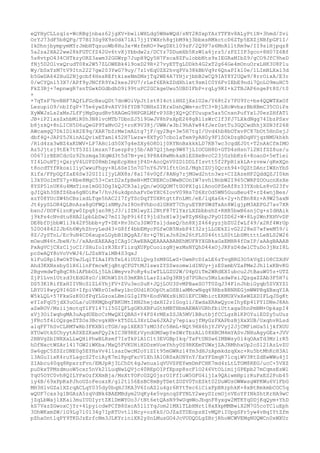 eQYHyCLLzq1s+WcRBgjnbaz62jgXV+bwliWHLdg5WHeWQd/sNY2RSxpYAzYTFXv8ALyPt1N+3hmd/Zvi
OrYJ73dF5b8QFg/T7BI3Sg9X9sOdk71A17jjIYWXrh8gjbM9kj3bbxsRMkctcD6ZTp5EXZjNBfpGF1I/
IkDhnjbympymMYrJmbHTqzuoWb8Hu3x+WrfmRO+9wgDXtl09zF/2Q9P7s6MnRlltRm9w/II9siHjpqz8
5a2za2HA22ww28kFGTCfZ42Gv6tvXjYbbdw2z/DCYz7DDumXb5KzW1a6jrz5/zPZIIP3gco+8H07Z6Bf
5s8vtpO434CHTkzyORZ3awm32GGWrp7JupH9Qy5H7Fsca8ZFulobbNts9sIEGRaMIbZ9/gCO9JfC9heD
fNj5D2OlvxQrudT08x2W57ZLOWEBk4l9oxD29R+27vyETTgLDDkh4G2xT2g64Ge4mOnuOrxLHK3U8Plu
Wy/bSxYzM7tV9Itn2227gw203YwG79uy/7z1vEqUZX2hvqPVs38kBbVq9r6QnaPIkl0e/1LImBLXxl3d
b5GwDA642HuG2Njgcbf4HssREftkixeNmSMsjTq2WE4A7YHjrjbbB2wCQ9IAY8Y2UQw9/8rrOixA/E3r
0/wCYQnl53X7/APf9yJNCfR9Yx2kesJPU7/rLef6ERkZDdXh1xt9sm1C0Y6FvIEbE9ndi7QoLO9muHC5
FkZ3Rj+7epnwgR7snTGwkDGdbdhD9i99tuPC2GCkgeUwu5UBDIFbP+rqLy9KI+k2TBJAP6ngePt8S/t0
+
+7qTsP7bvBBF7AQfLFGcBxuQDt7dnWOiVpJt1st8I4ctiHHZjXslU2e/Y68t2r7PU9Yc+bs4QQWTXxOf
LesupiO9/nbIfgP+75e6ywZ8vAYV36fYDB7ONHsZIKrxDshQWm+scTC3+BjLHcWvbxrBbHBmC35COiPs
XyWWJsLs2xMsJLfFjMgDgudRv5HAGmG9HPGRLMfvP3SBjXQ+QCfUuupx5az5CnxnPufYx1J0ezZHfAT1
JB+iP21xsZxhbMiR0h3N8lvcMTb7DbnZJ5l9GwJV8hPsXpE268gBllsWrCIf3FJ7LXkdNgg74IbzPSxv
b8jzkQ+8nLICH5D6uQeGP9TaMvO2j+roK9V38j/UWW/w3bI9hAYw84fJerDstTu3GQCwdhhjXSN3f26H
AWcamgQ7DkIDlkH2E9q/XAR7bZrMwImALtg7jF/qy2Bg+3e5H7tgI/Uvd4hb8bOTxvPC87bOt5HnDsjJ
dbf4Q+JAPZ5JXinALQvixETaml452H7Lwzw+8XTyO7cbo1aTem9yAH0y9F1SOkDzgBDqHVjqzNMUkhkh
/R1d4zx3wNZ4xKDWV+LP7AHcld50X7g4eSXy6O8Dlj0RYNnBxkkkLD7KB7wc3cgdEJ0t+T2nAkCfmIMO
Az5Jjtsj9tEk7tT53Z1lmzxn7fuezpPzj5b/AB7QIjhep9W87jLIOCGH8D+GTD4sHsn7l2NIfSZ8us/u
O067lrBEHCdcGz92hzmqa3XqWd3t5d7N+yei9P8A4RwMnkaBlESXeBvcC23jGzhbKz6+8oaoD+5eTiei
YI4LOuHTj+QxryV4LUPZ08mbImpEcpXmzjP4D+AocQnV0ZD1DDLfIsvtt5f2FpR1xkLA+zvew/gKeXQn
t8ocdTYfRkoxiIiyCwwuFhgy+RL6SeI5n7G7nY6JV9lfttOnZ/MghIZUj0Qczh94+0QZtDAnrIWXnYbS
Xifx/FFpGQfZaE6Sw32GIIiIjyLNX8s/8x176v0Qf/8ANg7zjMGwd2ntn3wz+CIZAzeHF2QddQZJI0km
l3kYOoImTS7y+Rbe8MgC53+CxtD2xfpBeN+MTCRERCoDWwBCOnIW7svh1NnbW2I965CWRPZOOucnXsXe
8YSP5lnUK6u4MmTine1mGG3Dg3kQJCR3alyQn/wOGQOM7tGOPXIgilAnoOPZeAf8z33YXobLs8vG23fv
gJIQkh3SBfZ6ba6gNOiKw7/hvJ6ukdpnhaFvDeYXC6IovV09Rs7D6XrOd5WN5GuuBeu4T+rZ4wnjBes/
xzY08YUcZW4hCBsixdLTqe5hAC2I7fyTScDqfT0XRtgttFnLMt/eE/lqXa6k+2y+hfBn8Xr+A9W25axN
Jt4yySLOR4QLBnAza8gOFWQ1sNMyJsI8On8VhbcdlGRHT7ChyuEYBPSWdTxAn8WlgjpM3AEPGJ7av7XR
bxnJ/DOF6iznKyw0Ipq8jan9RjJ3/iIZNlwyZl2NtF87TlYxrLXZbbbshZ+RHR5bwB6snjCg+sIdHAik
j9kPs4cNvdtu8HA2lpbLbDw27mI13pP9i6fI9j1d3sH1w3jwPZyN6bpJPyOIDD62+W+8Ly2WnPXHVvDP
DE8bfDjbbW1i3k42P5bbb+yT+DE+Rv3hCu3SW0TsljdaeQ/hn8XjZ464yyzjbZU2fwLf49/x2Rf4WrUp
520O48422Jb6h6WyhZhvyLed43+G8ff4bbEMycPGfwOB5NsbP4I32zjLLOEkZlvG2228eS7wfweM59/i
8Z/JySTnL/Ec9uN4CD6xupsLGybB1BQgAZ/Hr+Q7NixJn82m26tPLS046ttLS0tLbSMttttLeBLS2W26
mOeuM46tJbeN/h//xAAnEAEAAgICAgICAwEBAQEAAAABABEhMUFRYXGBkaGxEMHR4fDxIP/aAAgBAAAB
PxAgVCjCXzCljoCI/SHuIo1rR3ErFlizqXUFpCuoizgNjwzMsNYQhD44xOjJRFsD4dwlCTuDo3jNzI8L
pcSwAQY8oVoVvWJ4/LJZsNYalMB4S3qxJ
klFuG8pl8wOkT0wJLqlTIAaIFhTeL4iUUZlQvg3zM8GLwS+UwmPcDIaLE6zTvqBRG3O5kVqZiO8CZXdV
Ahd3KXNssbyS1X6llnFfmcwKjqBtqCFGTtMJlswzZYSSwsomwldINUy+jzE0xmbVZaPMe2Jhl1xKBvKG
2BgvmdwTgBqC8h1AFbbOLj5LhlWmyvzPoRy4uIwTLLGZU2W/U4pUiTm2WRdEXIubcu2JtBauW05z+UTZ
ZjP1Lvn1Utzd3tEdG8zO/iNOhW1St03mKBh1LarZiaDg3KNjd7PUAcu5MzLxdwPxiJQzgaZZAb3F5H7i
DS53K1RifExHIIVNcSlZL6YhjFV+ZVu3ecSuK+JQjLOU3SvMPBaeSO7T0ZqJ34FlnJhbiGyqb5ZVXYZ1
LRYU18wyQ9I6GS+IfpiVWRrOIeRwylbcDUdlKOOpUtaOSBlaMMcwNqq69RbsBRNREGjmWWPBqXBxqYIA
W5kLQL+57FkxGzK0OfPqYLGzoxLBm1GIgIFN+EodVWXzNiND1EFCDWbictEKMUXVxXeWZXDIFLqJSgKt
eYIsFqU5jdX3uOLa/uU8KMQbqFBKUMtIHN2hejdxHI2r1Gog1i/EwdaXRAwQyceIhyEp41PY1DNeJ8Ah
aZwROV/MziijmotqYlFYl47iI5GIQFLgGKhXBFuGthMBTHbmAEWAVGRhfbiUttaga0hnPmNM+OpkapI4
xVj3OiIwqhgMA3uAqdUEbcCrMwQXIQBAS+Y4FS4rMEsZSJA5MV1BButbjfCCLgzBlKPOYuiEDZy5uUuz
jFRc5f4lOQzgeZTZOs3BcvgkHN+kT5DLL3XrLDa6JXA2y7epiaujfMyGzFXAPbzBjXxXUB/UxqhvRLsd
alqFF7hSvCLRMTwRb3FKXN1cTGH/sp1XEKS7zMO3fc5HmL+NQt9HX6hjYJPVyj2JjCMFimUa5ljkfXUU
XTUwUtkSChyytA0XEZKamFQy2kIC3N9RErVyndOMSwpYeSWrTbzALi08XBCM4mYASvJNHuAgyGEa+JVV
2BBVgZbINRXaLLwQHiPhwBLRsmf7IsTkPlA1C1t3EVGBpIkq/TxFtUNSw6IMBWsy0l4qOAxTd3MrlrR5
hDfNxctWSArl4l7GW2iWKba/MxQ5FVKUHiHDDzmVoeYhhy0S9RKEmTUWxjZAJRMhhxUp2cS121AzLvZU
Sw6gpC5ZSZrDNE0g5EYHaVv4llsazDwcM2oYiZ1t95mGWRz14Ym3dHJzApmkdzqXxc+Ru5btMhKcH3A1
l3AGuIixK4ruYLagcS2TciAyK7ml8pqFxcV1Xh3A1ORSxAUNYnY/ExYFZmqR7lcqiWV3KtZdEwWWu4jI
ZIAbcu40qq8RpxrzFvn/EMJpRj3LChDt4gJwnua1qVUVSPEYwmDmFCHK7md4zLtLTOM8REG/ucC+5VXZ
puDkxTPMzdmuoW5cxr5nVk21LuqNwLQVjc40REpOIPfEpsp8scFlO246VtOLimijGPEpb27mCqmsEsWl
YqU5OYC0vh8QILYPxOzfXXmBja/MsXtYOFcGZQ0jsrOIFfIuW5GFG4ijIa9QAiwmHpirRuPxES2Fob45
iy4B/69xPpKaPJhoUZoFeoxzK/gl2tl56EsBC8mByTDetZOZV0TnESkt02DuWUsOWWwsgWPKWu6V1FbG
MH3HlvGZa1XZrqACLqY035dy0bqHJ3KA3V6IoAZlu4gr6RYtTec6iCixFpBRrphkK+8xBtRmkmbCOC5q
wQUF7cxs3g1BGAzA5zqVdNk4BAEMBdym2UqKy4e5vgncqSFYNLY2weyDIrmOjnVEoYPINkShtKrHA9wC
jZqLbWajlXKai3muIUDIyrtZKlDmWYOo3/tNt6etQAsN99wUqmWoJbqnF8yxgw2MTKYqDDjKqQym+YhD
kS7VazZGwoxCjYr+4lpyicdwPCfB8SxcA5llIYqJom21MXlTLbHNrt18xXkpMMBwiX2M7G5coYCluEph
3DhWKxmZW/1G9Lg7l0134g7IpRTUvtllNcy+ozKkS/OJZaZTDEopzHIvMQPiIUpgSFr5yw4vBqIYtZfm
pZhaOntlqPY9TKDJzErfcNm3JLKYriniXR2ySnLMusGO4JcVUDQOLgZBrjRhoWCWVEMgNUQWCn0xWXUr

 