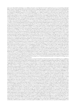 mErncbcfBLYB8ToX6hEXplcavuWRNuJYkxX4irkU/MpVKICZ3xFY1qbN6qIhaniLciClLbZSHy1KbYQT
NMyt2dyg5lGDUtQ8DKoG42yeLgsPYXC0g0Zho2TNNcQBF0EOMg3i4gu4dyimFS1BE46A7axiNfEQ2RZD
ktxKoKtXwevUMPKpaD+9VbBtVBjJ0fPMpxk8wK7IlIXsmCNamfawwEL0Yg8PUGtWvfibTJwxWO3QT2ep
RlrcReQ5OT1EM0XR29wquSth/UolUV52QKM3Ruc4I/uWKQ7uaxbmLSsjo8S3GVbiwO15mkmYoDeIkuFT
P2hQUTWJZIzc+d7lNRrC9vcoVibyRZDv8oOZEWmuZl4DiJYXlsI1UOBk9eI6yIADn4xDAuUbsM9y3I2Z
0aXx5hgArHPMX3TcSgtnjXzKpbl4Z+bhgKlDNcRU89S9K+oOdtHMWVvFXNe9OpemBu7JQi2OCJcU51A2
BdNwvCmVxMgwH5S2jI4uUo0ykFe0KKKMOWPJem4rS2wgA5tmAc1dwKNX5RGUhodwaAu24K15YhG7xqXK
2iMShQvKwuCtEoOeS/3KVLmFW+RbFuk8kaa1caKLEQDZqX8HU2i00wTLvBLiFyvRcVb5cVOTQc8Mbu0g
cuJZ6PPcW7VVfiZUyd9xqNFrIglUcVElXSF1Coe2YvK6jlkrEdMVUTQ0OY3WNkw5GYbfDGxcLglLRKrI
9xiHMo1SmZU6KY2CsWi8cwGWZMlqjoicrzKMOcRKcaDPGvq42UFeTcyccp7a3BSF0GwuADlgFu8J4Bhh
iJcMVZllfUTsVRZEmfmKXbG5kxGzVxqKq3mYVLp0kXnNdykHmWUGTmMlwvR/bF0VocVt/wCS2CdjueAc
kwg/E2BiKmVxG7EsNTClA5YUUfULpdhcEAaVb7YvZlg+W4oaFlZmTRl+quIHVWSU1TLFw0EE1lLQDhn3
BogQo58QlGFGPEGTm+XjEMqxKMZfmWKWxTjvcaXk7gjNY5SwEl3/AOEpkaWIAGcThHRmJssoyW6qbpHA
p8w8IRYvhUAsCUQqlEI5gBYyuIrZ3ENG/cV0rk3MrVV7h38ommYtH3BFy1MhhS7ZRSyGDMDJZhZZAN8E
wzDAoa2V/UBgBRylXuYUSrrqJdjN4qU7WqPqYKZpk7gWGCOJ1pEtg9sodfcDviAuRhCXnMpcDF1d7iIu
pQoKunZLTO+PEAWt4+z3PD/7AtWQx6gNujUQjNXL0BacsEuLBUp901KaNZiNqW8y20a5iFN1qemVzKEj
msy2RmZFFZhrjyYUM1Eux0wwOmZw+UFsmPcNKcdRmOb5mXbP4hZjhA54iFZ8Iyupyp4ZdyVizFK+7lfy
PfJQtYB3lPLNe20bJSu7l2wo5XU3Q2d8RwPMQ3hgAF2xGzTUDRy8QaaZhS7fMAp7ac7m0L6YlVUauhW3
qIqq1dZgVLBZfPqKSqrHB6YGnBbp+4iNZxuAA1eCBei83Dk3vUDYOPMqm78VMTqpfB2TJF3zCv8AEQrG
66lO8DJzB2WBsb3uZhmJwMEVSp05xLbrm0BvE0A0weZkuKK/aUobef1DhfhL9QGPIAsQBld1vxGt5cQR
hvGel9yits99eoAX5jwomUDjt7gPw/MHYaRuyuIxTu5Tv7LgeU+Zb7EQFGbKeYFEOFCG8uiMwsNJuJDU
F3KGXLeoYcGHKNbPqNzqOpVbYmSmMUcwLa8XcbFGZYRWx6JmrlonSFhhZz3OdAW7VCxRbHzEWuAQ6Zaj
ZErUr8GM4N3Dd6Dnvc0oF93kiYW5x/11A0rbkhO1bOfMchd833LGSBS/cGHJ4iKNMBYFm4tkp7pmXOP3
CcJWx2Q7GmtEtphN8M5B3ycwoUcagXkGkBC11ENY7TUwDjbbUxBdZlKZWkW7syR85vqZYDFrNS0UNVOQ
Ww8mBxEtLiYA4ygTJorFo2TAtNzI5cVCrCcTFVBLAOXqFNgWyij7g4wcNSq4mDxFukUr8S2ge0UW/mXk
HBuuvbGXJdtXoe2NrUw9Exsa15lVVY8wWDpxLINjAqP+y1CZFWXAIaU5uWyu6j0VW/qBAG2XpcmOGnWo
VaeTlKNJfKh1L7F5OyNYBVuIDgtrxKT3URQW3KvEORx+pQLm113FVrvR0S9XzLOV1pjo46oWPiWtVx4G
efETo4u+EZ6YDA/KbK0q+nyTEwi12yubXWKPDmDS2b/UGhxWG7gHxldrtMvHqC+Rxc3rhXHU2xrqbYlK
rG7lFrLnMUtdqsxsC4MS3VaIEAnmYxjW4UVHgVuCGqys3qClbIXYaBTfMHvHzFgQAN5tl00vJDArZLJg
dxlg5VL6zbRBBM1UdAlgTHZn8oMkBaeZKCFFXl4la3l3E3sfmCmQLeYFLgAfESdvEwIlkHsB+IEC4q25
WhWyxNy3N7rljIUnNqBgI4LzE58BEBagNDZ3LGXQ/cSMGjuAGAjazj3KRS2m0mwVbB3GiUYmnqLk46lA
tFsxrfzKlkxUtNIYC5GZpbNuZVr0YXjBqIiVlcQq4HuaekwzWKqHYuCy6FXjggsulQaEz4Rgxz9TySrK
lrkVqog5ZIhbk1LdsFcQwjSGjT1jEX5nyuNj6ljbFDkGvyImEoBwvG44N6QYDMPlgQBhqjz9GdECW/Ad
h8zBm/UaDD5jmXB5bv8AE8DKqOMHxKPU5uImq3oiol75hb4DcAXUM3E6hG6A7rT6jgzECvP3FRgo3yiu
5hYAcomz8Klhp+YJbW0FvG/pjVCtC4rI
d7XmoAuHTEoTRWYGgDOA91FBqoLH7QLbincGqo01RxAR5hiUVhwh2x0OvcBs2rYcEBVVquJojlqBW6by
txBpkb8Q7gfmA2f8SjGZwNCUNP3BZBgK9REoZbZnQytV1DBmWbRsBhQQKbPEpsBbDXMzg7XmWhbSl3AS
gLxubApUzq2HDUFNgNToOXKEo86ischXFNhRdExIoyukKUM8QaV2HTK0q4suYWa+EFuyhnmAFWaELtAW
3qWQnMHDzKcn+GCbOHD16lbtckpyltkyhdYZcBy/j+Ghccv9yhCkyaKTMhuoHI3ovcwarp1DQrsZZSoM
BFlJxMi24mS9l7iSRycyyLUGk5lJM2amBSitQN6ZlXjEyK2JBKLYOAvKMsW6JqLYFwGhabuAhFK8xtjW
VMzmd9QtezAgyHaXBbY3otwoSnMbTTMGcMvmYvlEseoCpheM3b9y3zmK6Wqf1K5LPwDKRoSsrqW9yTxE
Kp3zPgiDkCWIBn3EEs8xAeHcYDyUxpW1UoW5cbFL+oAbfqZnCunPhhwCjo0epgKu+YKVbz5l4WWmBmbp
Xe4JdUr3Ms1WkSq8QH4MzmIl1FoUcZGbtNPMFv8ADxBbX4YDmGWCAXLWYji7MS5aUSujCuKq8ajC6Uq5
HcId/qQvPDPMNkFrj9iDaaKriwGD1tIkUUbKnZyxUlPGKrEAMR5TyqLkDpTDkJkZepR2XiXW6mMWc36i
GwwLDzDg7OT3LyFw5hHMCUspvLCEHJpzEZq/MaKedS6wPuCVbitcwaoYBub4ZibX2fmABYbZm63CLaPy
MuBmXRuKiVoVL8U7Byx6Ag6sQlFKf3NOzguZYSgB9LUIEcjY/wBQD8EzYUN97OkwgxRF3hCwWxiDluiK
XV3GBvmBkLMw2tz4lllhyeXuYRYNcStAqJssd33LS3jzNQdq48xymBv3FCc3wPMy4dsGxAjq4UrwcscC
r7ygqjyy3TT1MhLd3EKJxxKrer2QFN6OjBVybcRaObY8thicGpW3c5V/M5rXf1FCaRecRCvHNtr/ALRW
LiPfAtxiOifXULhJl/dAFvDqJtALx2XGac1TjzL7YdG4NADS5QKUElXgFLmBQMwnCoHgepkBbqZttA17
gq68oWKVTmI3QnzGKLP0YB8hOvUJlZbfEYDPOJRqjU5p3KNEe5atdwOxcyhxd13Euud8AKG1dwKAKCLJ
u0NQS62V6JcJoUc8cSyXdYNzilrr7geKzGAUQHfiFhRDQ7gUvLLNQaDuq8zaboYKPqAF5qm4DK3JsJZ8
gxAQKNnmAnDiYfqtwHRSdwFXWb3NWrmIY6u8zzBmUmhxLvZb3KKFhYiDxqJvFhPqW3ksqN6TW4BbGaBn
QruIGnFamWBvnMqOEpIEce41xKcnQRyo4igG9lVmNWcWXA8Ky0SkWYayQwWtQCDPdm4lBUnw8RCpmzEE
rUaSoAyQ8EKMJRpeZ3bj3FpVrDYxKaDB2iLax0wSx0yyr7eYS8DfiIDqKWA1KT0mlvf4lMEZdsE08S8a
f0nItrLMGiYM3yncMxHIl6ipKpvUycKiGxyRbnAzKou8TcKwNwZfLMJd+CFWF23LHmZLJLD4RG9u5bgs
aApzFMQXAeD+4njBBe4G+ZRZgG4BS+wcgf7LJIWOOBllgumEWhVx0UAAANRiELirxniNqgtwOl9xFN97
DZ8VzMVQYR3T1DSrRmri8uRy9ShYOeYUBWcMYlFKYYlhwwD4JA3GWVLKXThi6jwmCX0WiIdC2aN+4EU4
hqnE2zrwTfLXuVB7mtcuIoQ6lDrbhnEbz8QWC53BjBbNxssWqSHDzAcgQGOHUtU41XuFkuML4iOHg43B
bB0EtBRbDBq4Ir6B4vMsBeYpfZoI8wazmMrYG8x8AMjqXNuVN9+ZRrMYzUXTeYnd1UusIWzJmINOCtQV
+ICgRcBG3wvA7qVZe3NRQZPmBszmpRm9rECilq4MbynMpNFWbZy7ha3WYu7TP7lI4aKg8ATTTMg6K+ID
V63HuEy0ssFKwShpbdGEZ5eolDNCq7j4vpmOVC99yqIGHM0KABYOG6VMBoOnllHVA2XHDfMM5VUsOl48
TQZPcsBTLxFrnELMuYWM8cYhRmtrMtOXdVKrjLqUChWXuYDvwY0gvCFQWtcUcrXRLu1ZGwcVBlqo3ili
HQQJZQ1R5l4BahzF1114PiCK1X3Tdksm6cTqKKheQyJGxindTBsfmKICWBNMN6HzBBKG1jjTjxGjqwbS
cSsRcALr3bKUS2obE1UcXdKlrIZY5CAcLq4FcPLmKMLiuxpiYJbjEvu3GuiU+yzxB9jVkEGtQxQw5/2U

 