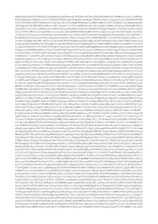 BpBd9saFkd08GYwAKdO6ibByWaXgjw8XRweop7NTZBb+E45ArOGGPgRLAWuVbSJNkW6azuzXlitwM9gt
BzXPUQmzEvYHNRQzivU1GIfmBDkVPUEEcg8oFXEqDziEaAkpt3BFKovOyCriLyyycCyYPiXSUHIYPUHW
Of6I2hT6M2LCMF4fMeAAvk1UoRYpo3K3JTbiWqR0NwRbq03LAMb0rWBjVcOUClkDARLCrXiWwqzPpOwv
JmPIQpd4YOK9MDOWYDoN8yjtGN+JgGeK7iIJSleJAKNhd+nmIJec1mXQjnDBMorFdxLsuIHeXqW+AD1u
DazbA8zIoLu6OIjSHPpl6evzFBOVsg0yOhwrMwUCsdSnECDA5B4Z58ykpFbSpgw7iTRDdOJZsPUorHSG
0L2lYTR4CPWIAu1nCquKXbcot2ucyhc3qUaXKWhRPEEeYgWZ9SV0uIOQLzcuiptHXcVXG5awBl9jYeKi
J1DweZzjTCassarD1AfSKqYCzwvswFgWLJcyja8z41HODiLdUawvomagpkFdJ6Y6qfXQrcZSiaFTFKc/
EtAW3B4jUlD2Ysze0TAFuaDmyHleiBhX4lYEwj0lhgyokYPivBHKSW6d0z7jIIk6UxrwzAPo1GRci1It
vcvKtuCbQQe3mI8M1+mCLrCZlNcxOA3BTR+EaNQvsg3KZIAMy1m3AFIm0RqCt6XtzUwPIXWZ03kGc4lg
9jqVqLVmAimeSWc26Y1EZyQQiTIdSvNfFbHbF2pZZoGWZBgRVSjIVBWI6WBUOfhMSi4IxgANv7IVZnSs
ljzbavSCmFDFYlTTI08T5VYhdNIY3QcGcwcImY85zABY0wW2WNpNhkeo6sFOHqM4CymOIrqzWIOMt8oM
18ww5jsFdRFNKXcWDLuj5gs7ODxK5VdLTDauD1KPIaYzurqoJa0MkQVznfuNa1ggsfLEqr4u2bHH9kHw
4IGseUsDmjJo04PIYQhFJa0bqCzGzPuKqGVTcI4JoLxMuRhgq46m8IdLLKSyWrrMqlLGoNUSyppqIs4D
UtMXFeUz7jsUdTPLzE+y4skzfcsgCiYNlBEaq3uLiLObqKwNVLDMdtDUpuswXk58wmxcR2/9g3SJsEOW
Rabgsm1geZrjr/Chn7mphQ37xvUapi+W8DLwzFOLxFxuUVd5loSLIyEyFmWU4jbG91FVLC3wykR3zFov
mpRLL49w5gCuYzouNI7xqU7hsLsm6gUC45MRPlKE1mmFaM+Y+vmLkqNorl1EQqAfZZ1OBsb0SnCDyxXE
oIZazNxk3alNsEALI7CTNmbSBsACGj4gsKtuBOBKh684+z5a9XBZ8CAIeDZeosFpNivCXKr2TN7xfbA8
YaYKsWyxeU7YRg1LMOvuFyghdaCGQ4TN7jsA08wLbEc1zKxSr5oixCbGcQSkoZwtwFlvhqacOFzPUaSo
AKtI2u5SzfJRTBFoDRsstRVC2txNpvhzEc3c2VIbGqm7H3ohWaLoamjwFLGEWfgBwxaJAKsm+tY37nl8
jwxA2gufEL1mrlBK9Q5GskVEYws8zYWTB7lerk8Ee/LPkx4Ycq64mNBeNkG0tdfiA8KViCF4xOLwkyo0
F+EyQy3FKLOg2czBLunHhLJRVPMLKUBioFh2XtgA5IDlR7M6XwwU7KzgjlxsgbXEzb/2Og3qMY3sgDUK
ytsMFtsgUYPEQpk7lggqbhCw9PmKCFfUtuhz3UKGu+ZSkbGHWya4cxcjBKyZ+INlkRytpFG7yNS7y/ud
h+JQ+YtrghEvAxdKVDY9QumpR2G4ruZU6oI+2L1zCqcRHZXmAVWpkxDLuEtnVrjm1CUFP/SkK6kdjrxK
WbM9vuK9e2p2lLBlea6lkfojtv7xBiE2WuKgq1vJiAFSjaSyCzYzYMeILxT7mMHDLrsuvcBcy8Q41Wgw
OYAMFoMZ/qLSQOk14j2dRRydw2HWyMDIcoaeIOI1Dodcy+4aLngXVTwzAvo2C2dnzENPWzyBks5IkgNV
oNQyzYg34hht0C3tTwL8xZj2i9wfBwECeoPxVX1LFpmy4cjLXBzBQHIX36iGsHaOGBiyl8xorzM6lRSh
guQ52O8OJpsnTihLkz7lLYvcQibf5MkBC2lEUECgjdzMk3mtDCQHYhv0bFcZiBttlwcEMsHEU6LvsxE+
aBEZ212PcWkU13NFgJyMEcNS2hIRkHwhULylTFvMSKnj0RuSynZfMpZTqL5mQoXVlxAXkAHTMKoZ29sQ
AuHNRCLXp6gVQWKtfgxuVzFWBP2iBLapunESwceYUxKy181ZGwgJNWy3VXz1ACLf9wrlTL6YssvESWYy
SsCUuWL2PGpzFeSCYRUWKshRFne4G7vHiJWkgU8al1dOOA/LLBRZxLBwiBBz2w+Ys64l41MU68Tp15m1
VHZkiWY7PzEeJlwEU+kB4jPs6iTt2vL3A5mmJyRWN7l8IVbt46bIoQtgV5CYXTq0dsQUoRkH+TiZrY3C
VbbdsFipRDy/EOC/DEFNUEKO4AkgWvLCrAcktYghoau3DEWAzvtMupDCjmZL5lwRU5m7Xwb+JnTNOWT
K+dQRoRaBoftHRbsduWANUrd3Fq3yWeYRsSPHMtA8Hhx1zDYI9VRRoCZHGKi2SNXei6cFvJhGoLOamlM
q5M18QZrr1tKXvFlkItEZO+viAaWyaNTf4ZuEOxPTt+IiWRkJnhP4Rcr7uxe1r4ik9Z7lC7IBoV3Lt20
+ZlwzIf3ByNr8cpkZRLooVB4gYDMNCvEbouWhxFvIUsCvRAz78l/7ZvPnbmYLOChjeXPNxC0YKYE7AXo
lS+AciyBjWpbOF3fbLSEYH9wxkorqUoxK0CKEblmJyDJFpQFHcG3BRsit0V3NK4j0vf6ljUrEHmN35lT
xLtKDMywPJvR6QI3zeVxIBmbl7PohN0AuJ3YlNlkoYKJZFqRDtKxZh4hzNtaHryuCJ1EgoasntlWXQLz
zNq4tgxyzBp6nIWS7R1OBvmUZoVsArEuJpFmxiZKRa0VCiXgijnFwoqmOSRxzRPFsYBQ0f5C7Y36YnaW
3uVDQ/EQ2NxCKsLSu4MZagoahqhklvvE2IPoGV9xYjKSqRgXVVMFVK7jdzfzEaaS+PMLT3wfANohYgiD
MbxEzQURY/Mv2m91GiLsbyMRXhbSnYc1pmGquU6gvqn8QOrbaJd8HKavT8MtTeuC32D0SXohtkGdNw2T
6xTyBge5YJHLCDyJhJjEUzPEJKXyh0RJ/cc/RQgwLBVHAwQs558hn/YzYuw7y2wy0XNN5jHkC8cXKCxO
D3MwIq8HuIU5pbv3EzCpmuF+Wo7hHJCUVfxBylaDDdDpS8+JUwCKsFKa92YiARS3+4Iyjg4zAFcLbhSN
MV5Swqqq15XthGRCx6D1HsQ9eqiSxHDliIEvYBzKB2pKhIQMia9spcEYXZ5BA7aUU2sFlpZG/iWig+Ac
QGQSSgOXb3BuuZUrm0iJV68S1M6JYFpX5iAzx1DMuqstSg5n2S4wxUb9xo3hiVKwMDY4li9QzBvUV56T
wg1GECU8ZiCWtswkHbzPZZKcFEarBdSnhbFc/Eo4ZRDfMbcxZ99KG5TjdGrflXjqFDdhcquofhIvIyfD
cfjFSlnTiPQIhkoV3LByzbmpZbFsXFcy/EcroZsySq3EFVDeVi1lt3OsFvTjqFO8zN0IXhlXqZRgFX+J
ojP0lqi2qYkXfa+Jipu4gGbWZHiWBzqXQChuKqCqmKHI+P3ERuiUnSSw5WZ8RFeovmAUoGCA4u5HiIt7
gh3isxcT8khMWh8Qal5koVU0hYWDnLxKMMcbpEcChqmMWW7x4hUdhFdPf3LCBq7EpffMSW0kK8rjbbIj
XeLiyz6GJ6EwgDV6uFys69Tc1/vQB49QAVvAr45LCB+xueMVCnLCaB5IUADAmgeCZFmT7QOlbdpBop9E
sjV7nzKJRLGLcHzKst9Igmu2XIRgmnYNI/ZBgwsZsOXlvbHSysL2ir/cbVrBx34i26YtvicKUyeJZ6iz
f1KfGQeB1cLnmczexilQbM9ppgJPJ4ORJ8PFWeE5hSwWlYPMAq71XcGwwBfRzKuSq34ljQqTJW83LGxL
/ABKM7JtrslvhOSHEG3tiq7XxAG2YA0UgNIjsDvxCrAnbe9/OBoDcmh2PJHMOJS6OvcFxmoNn/sSjPkl
pIwayR0Ou+okG17lMcO5fDMTdeJdGrlhnUXyL1AHmJyD24gk2TmB/8CZ5M94mQAbm1oDkfB8sVDv1EpT
9oxXHuJLLFcMAZLZgYq+5QYalq3gl+16lNXc6alZbZYFrUyKXEvATqBKWsmGlpJZS+dShoEayVdzWsjv
LqZ5YnbPiJlvUp25gLtcF4Za+JZ0XKCIuombePzOiswVTZQ3eqjiySn7W+B+Yc5R5UtdTDzPiUwiN3qJ
601VqOdOViBv/ACV2iUH8Qb21xUUmMmW1apPiGwXb8B2iZqatMr+yP8ps6fJArbU2jMUlU2XVPJMu6bP
PpJyIsBYPiFU5KrWK6rqO/VYqnCe4rCBDts+Jd5jRp2dhWE8QeKVtD/6GppROZ0f5GNtSgeu5SqXRyyr
SlBmXS2AWq4qBsjgurK4jJOut4L0ZciFXP/tS3AV1GAnnaTHV1LaCR6BLwmPG3kX9SneS72Sy0Z9Qbir
7Y9mqcpvxUF2XOfIsxUKGqgGMyoalWsqY6glcGrrfbuDhVYvDKb2TZbVEDs67iBWKJUDJCymPQjazDcw
YVBvL7myb9zLNS2ziM0VmnWQidqnWGBFqr7Du+1HLLK3Lof3KQXG+oeFVTKVuYYLZnyxKcaiii1ddw2+
IN4rmCmXCG7XcvOZgxdynhzKraN8hqHSsOke3jku0qLX4gn7iJPa5egXccALoMce5OTtiHycMJFOy6js
yssstnU9QRUVnqOTVy6KqXipVaYrp6lYKHACqaAZWMYwu4ebtTDyLgWOaZGImpFbT2viAfycwAcPE2Ay
0T0gGzx4lzhXxNtvqXpb8yzKteFAQaQeFCd8ZZTGOkc2gmzqIre4vBExvLtTpgT1LZ1aOu42AwuN+beD
qDOsRK9dxxvMMZvHUyuoqChAtS7nTAbPPEFs9HglgC3oEwBA09sKUn9qcpXzLgaFVl8S3EWWr/vXi4XJ

 