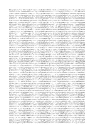 fdnj5QK62bi0Ij+50x+aiCsPrcQKo8swZ2TsZcnmZHfGsf8hDBe3rq6bdShl5yyB5y1XUeynamFwnhlo
tEFb8JzfUrEhJoPBs+ZakVcrREEabp2+YR1BWcsIHea7Tx5lc1XSlnp5goQ26TNXz1C53PDo7WWCdk12
/LAYlZ3WpdOTFNHEb1pC7oweIZa+YhqjfiKO+x2tHq6iBVKVitRAgZIFo8zXgSACg9QUoGnJk6gq1lhY
8HHzB2VmUo6Xd8wyzrsmFLB7WRhyZMJ2Sl5sHUzauGGqZZRgOYqU6uBe9x8BL6iB0UIMFZWCp7GFwo25
M5ijWsQfZ49pZeSzNTFrUVlhMpVxdNQX3FDNtv4mAxd3KzZruF0hPBPHfcTWamGeZrMdtW26iWatXxB5
FnPcNSlJtcJ0kM4AoHNh9wRdK3h6EEcPZL+yBHrYI+1meTUaoBxmUWsLaXjmYznUcNfJGnHLAmH7iNYI
d09ioH8RwBoJWWatXBEagiqBo3Bd8E+XARQeFnMEDOG4uK1mWVtlmU2uXcBNsfOfcDb0I9PbWTGBzZ5i
N6WKFGBdrfEaBbcFC6HnEutfKRQHD7YQyXA3hPcDWIC85/qJzqyNcx9TKw7LikDF2Rv8AyHO2XsrENaa
lG7iooMQ/MsXJ+ZXV/cAHcx4lJwal3csoITkIFXDKiuhwQdzTjcQ+YGOcg1bb04h5ZnPtj5JnmAB6SlN
kDd5F77zAaAOCeTRCzQIJ5P8AYB0tZWs+HOZVjSwdviWhq5Z9fB+pQ5dzrlrSmjxMlYNreZYFEeXMAIO
S8+kpBRMam30xxwLweWBNeEqbysGN1MmbYN9EcMayGLeB4OZaWGzBcQEVvLQmS73KsxLWNQsURyU8RU4
xTTncAAouibX3Hr0UqIOkcMMFTZ+yUxmUlIspBUN4d5nO4wdgq4gKrhXMsFNVzHsZYdzbynUHFjiA/wB
QDeNex8jB2kSj8y3bxFE4aeUwFl0q5d+8DAaa5uarzDhQpzK0jOiCnw7lD0jstzODxAUtbZ1qUlKxMtM
WfMMoOVZfF7i1g3K4laczQL+YdlfMvsVVaToxuEocyy2aruMtKoYbh76JnZvd5mss0qXKOxgjf1LoU0V
L6cxapUX4i4cwRXqqyvuATirKk0HkYKKK6Nxb34ivFLuW5YDmbUEsMm5htqfVDzBA2TCYMWAiiSA4F9x
fdLgC+S+bb8TRTL0LadagIzz4CppmYeoPPqU7RbYsyZIq4uzVcTTahwTSTuuYypLa0PfMR5KhyXcQMp9
zaJ6MwWYSq51GoMcmChYBuXZOP0Fuv6lQU1fBAeADgq7I3AXECkNYH3E+hKIPKD4fxDWJB0Onp3BRoXi
9nxCw6sT3QzChz6xxMzardwXtVa82IRUKatx3IQS92nAd8Spbgi2YtwLcoxbaEL6OYgkY0PMrTVo49wG
XZ7hVBa/RDVkvnMGmUEAhwt4laiyjehebGbMQ7u1bb2vLACw10eGZ8YNTuZV3OFZ4htDLHDiZXHUVvks
BdsztL2XqWcjkxMDLbEt0rmWHGdymxEZbAR0MESnIzCi7m6HI6mARrplt2KcRq0TPM0oQPgXfvuWf/gQ
CLHfakhfAVrUOyB6cHpDCk0BodEV46l3QuU4QsG9wVabbM8QFuPiF4vEsxmoIN2T1LeUjy0mvMVjd29S
nWQxOBtdxAWGblvFHuO+K7i9sD41KcjHZRZAl2OGCc3HG3/NRXKnZpLmuv5lkbPNFV68QLlRUIv2mSBk
3LNHE8W/U9JirgyHBxcaZL8wmq6lC7pAi9hk9QONhlAFaiDZbW4rGNaFxu4VDI3gmUsq6geNTQrPfiY/
ERh5dQWZJbAaQcFd8gPiPWOmbXy6hcGDVfmaVKvSJWJd3c0VKo2YuAOQHv4YokLalfOkGURm1P6gUIDZ
8niglrwERXpYmtqgH29rXi4bqvUXKwDYRc6AXC+eoKuutPl/8JUmry5PXUeqBGHTEghE5g81tmTWTdVv
ZxlzA6SEaU+iQB4i5hVr/ACC1Ue7cdkozC8FyoiMEKq9+Y2TTXJmoV7xvBLb4CtwY6goD0G3lgFSWfIm
XKJdL5GBMujSVgm7J2P1GaVyIK+ZRU7sXMdLm0TklmMxDroF8sFUjhMJLawLGAKqk2MLOVZ9VK7Cq4Yl
uWS2O6TMo+jEt5w/xtxVxoyq6gt2kzYi4OlxVTl/Ep4g0xm8EAChmb1PJuVaVyf8AqjCkYlbRxMsgXPQ
j0U5rMFawhRtkbBxBqBR4iC1qMLBaKx6SZPcAv1d/pKHIDKGr4PcDQbo3tbhjBBnBKN6mu42KolQKLZV
BdP7gAMI+BEmBUhsG4LWWupdVywooFuZtwS2RPcF2GopxmuGINSzZ0Q3gxUEsrMK9rmBA4UMPQQS5qJJ
cMF/EoAvDXcwSyrxDD4ZlrAb5mAq5dj8sxkMzPaCFLqDAUQLMSyC6g5lluyjkgM05dQMirdEni9wedgf
bEzcbOoz6ZvlxLFYoaqVZEpcIYNPqAG0qCa4iGaeMQG0K3GdTDjMqrLlB6uE3gqHIfJHPBd2PxLgZdB6
mFScphO7jozq6AC3jqEQGUBZ8ESLUKG12/wCoWDcUz2bMTak3GYL7PMXaEofomyNuYeWpZcUK2zRyAX8
TAus5OGAurgh6flLAqJe74fmP4Zrq3vxcqIgyMLOj2mYRcGb5w0+I78ktGKJQKgNTJVZ1xGEWDMCMMYD
fuK6DwXco8Il23MgvgZXAYvJcpyZMQ4k5jHPrXExXA0/yIOQfEsX4PiJUgAe+kPDGkECu7lXRr+Dw6mC
Aq6i/OUuCg23H0qWqupYLWXa+JpjMaXRFap6amRQwOnVdx5F6NjKFIf3LHTBslAzQommsb3llNEVsYNQ
MgqOeZtKkHEsI1NqH+8np4cy+P9cp0V9sBwUchWpS5+Ir+It5pYo7ynP8HZfqYsqOU6NyvGo3EVyyxyq
eQyy6xMguY+SXe1dzjcC0NdxfZEPSUaAymFG4RYG+4jE1dMCQBrHEyDQLqXsaMQEHlGLmzJVyneWXRuK
Lu51ZQ3mr8RGDmCgXcsKiXC+bg6xEWOsp5iumGY2udr3LcWGHiWYOXDMyUPwlNLaCKUBmocCwe1FTmYY
XFVkaY+VDqdS6XbqJcp4qNC0uKtuIsg5iuqjFCvdzN8WpLk9HggyMEnJ8wDRpweYwYF213XiJg3ABf2l
sgY5cj75iiUF3eHcY7NL9hXZLQp8V+IYQABbZ6RVMKn8281MhF1XMyR5HT3KXAJ+5Im4Ee1RmYEKMYKT
SvI4gjUBb4rSfUSJXDGbYe2jGIdhHlG/uCRCUrOex6mC1Ct1ylivXXIh3ZmCc/wBytvnNVFSAUBwSq+u
JQxww7ZYgCoO68X/pFqml0VX0fmU1SB9zHYV1Oe5aK2vuFHTC4HODyeziYQZPMdHiYN5/2Dm8S70lHLx
FyN56+XRMZbDnydkIt38SvPEp5ggqhmiYHqU4rLDDu7iHhBW6lC0F9zMbyGOZQF04ybgaq+oiAzjQTJp
+bjlzjiBV18QAvHBArBNEgNdW8weXDiVnKaFbgHPJubQljHU4p7nkwENFPiWOj4qOrzG71uF8Szd0S2l
LlEpvllGEB4dQMdxdlnuM2YYXwcQ6MbNssauHJ2ckFbELxEiONMtpMzBHO/EatuNeSLeXjqLXUoMbl0+
WYFtvmJNQoB4zFTwTAXX3CKmzjj1EP0sSeQN8pQF10DNPMcopIAZXoiJAq5DtHmeyZm6uvMM3MDcXNai
Gs8xXAg6IlGtzGF37lDcrdajdD3DbX1UZnaTRSGsVtnJKLprF1EFx0ckGqXliAbVVwHUpayD9QLATd+L
nBLNklDmRi8Mz3FzHYP3BCtWnKPZAgauxXh7zqYFjoUS46XUkInGNQfcYdqMe6sxDQW1UcnweQldAh8q
9R9wO1qHb8N34g2pVYzFRcQ/ErSPkqCn1y9x8C7tZuFC0H0g2JeEZbW9nqZ9XENLd6h6daXkT4LliMm1
t4DZ5gPGs0Hn1HQmgqyHAA+iGvgM9P+wC64lGX2d9TEDYMNwbxAeo6EXtRKAc9c/UChWjvfLA1RbQn4i
2PIIgdw5uuIgyvzL8S7FGZTmY+GI9DmXWLc+JnY5i23B6rvJFPDqYOcuPEBZKtRWbz1fERhcIGR0Nm4c
051AYVmYP0nfmVs1iJrGrgBrmWYinfDKAh5KeYdjPYQVhAVu97iK8y2AcxvZSclS/XEvWNxI5MxZOdwX
J1C6ixucxiVh9RFRgS3i4Fxu14MdTfcFFN2N9x8l8XLYTQr5J8M9zLWOdxJdkoL6Ygv5iumdBXubFfcq
tPeVHk3AYv03Cl1UemhhfLBWLsJyy1W5uF94jfgi9VqWXL8ktQuwn/wACFhgzLWbNSzaNy8tt3qcM46g
ur5xEsd8RIAf0S3MGihefMzTEsCr8VBQOljygKQrQA3EXovPcRLtfEIBgrV8x0bbYe0VAV5fA6CLciVV
9RqpnFfw1FMRNUeIf3OTl0G5DtyTrGgkOEuXL/j5ijtlV/wCHMaeFGAGuD3TcWLGteK1fFUi4BRHAx/2
MxljVQWwlmsS9/VLYzGapa5iejVsqIG9kTyqW+SdgviF5oY7iK6oXXZfYQRrNJPo5VLcFcOS/dzfjY8n
YG3mIteVzs4HR4qZPGx28CL/eWrPL6DNzDMMW12wABdOu4BV/4TQ5J1KB7NQULZYZF8oVzeMSilL8zof
csoHhLQH5mQ7uXW8eJY4MTSndwFW1qXbXpuDSq7jNWRJS1ivCSx2sm4kV5pxFq45gVmZcvEVZ/E+hixT
huDbjiIAC7mXYdEQeQQuWWHS1LArfmbXuFs08R88wDKqYDbjGYNy+IDI07WYpxLylHxdPDA0oR6iGz5i
LmXP6l0ZtBjFcAcQ1GxzCirYvCiBworM2EsuqvnMMCDwJUXm6lHS2Dm+JQs931Lqrcs05PU22yloCu9w
0DJBaR3uVWGZsXiNytcQXVn1Pn4I5YaeJjIylAaqYNR2aK1ArHNcxZdpEjjFh3AlC0tE04Ai+qUouC/c
F6D1MkGwqMDYSuyG8w2BZVV9O16uNYg5KV+ontKCH+VITdAKLHkqI0bRK+HUfPouv1Bt1P3glnJ+0eSP

 