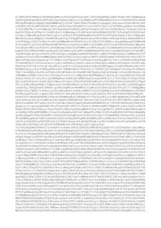 U/JHB5dTDCOWXbeeINOXBxEfgMRvzrDGJhUQUPklpsGDS/iKCUoEQgNhNa/wBwU5bgFzvM3jqDWAgXuA
ZgFXvqZ8whgmzMvbcN4PuZKuJee5aEwnhxBsLI2lwnGNQXnuZFPiW4emW4OIVaivcrSpVKUeoB4rxHdX
KN/EpRR6qWlpZ9QQBy1BpRmWMWVqCjv3GsA75mKsYEXeJThxBetStQxqpQijReLipautE6XcRRvEu3EF
o9S8hKj44lRzzMFJkPLNn/AK41ywS0U3Uq15YByEB0IIounUIHT4lIXsioiF4P9hBsyuA8dviUnX4MHw
3+kY29fM/MvitzUD3dWngZj6Fr4QaD0wYkvbKwdjzEF4y56nRaYtrFiYGiUDZNPDAcGi7H3Aadc3CwIB
Re450CFbXo4IpTNyvi+ILd8FcRvJc3OAMudgajvDiWZFa4nYwTkOXRBQUfE2E07h2haRqZUlPGGDk5mZ
x7nAallDMplWsGp4tEcTXzF/gTsrinCWoOIJFULbKHEsWRS2GU4FYVOckFV0bAiPGmHrl96lIUBQGq4n
MBcXHJurwsxibMQG2r16mnMV6KipRV5gl0YYpQBTdwaUSuKueUDFn2RRe+P8HuDpVhB2e3mFmeH8KInZ
zr23F6QLpc02R1Tj1MaI4rzKJiphMMwxWYs6iHCbD1GlslL3TAIZ5I53KNAlijmogAmAgtpqC6UWKwhM
8+OovAsF0jjQ3L8ldTkNyhmVkWiNVKPjonYg3h4ieiAMd/uY1LDRWIJ2VU3lLqY2KB5ZvhgHa/MQgJmI
Ck1qKyXvcMUjcacFnGz4llHSXdNSwq31mGlOIqFTWW4isn1MF6lAqiEICZlHmNxAm6cS5vavZdHcPLsN
bgee2Y5hj3MfwU0BHhiyhObyeXifGowEwCrpDrzNhT+mGWAHXHxE5KOlmS1lGnmWDzAYgTlL2VxEsW0c
3uAUK2YmQtdS1qcuD5mJCJsTLZSUdgtuoVyQMnLLBxNDP9QVwQCirgWyTVOUENoSsXajiONNRaDVy7OT
aZAAxn0lKsGcGA5oe4WWG6QbwiAYKLOY9hLJnIeoLzgbLeiMKV51kX6mYawRw7UF8VESzRiGDhcVkZ7Y
qMrfqYhHgJwdje4gLwJg7I5/8AWS/rDnT9QvpfH7hyTAswunG2GdZyqWYi0r7m2/iZChmRhzBVbqVKXM
zV3GmvMTqD2+oI8uZnxCxutzjywYiLXFXbHrojRHh5iswXcocV8wtkQlLJBbbzc8PzFmpkttSYFb5uWL
FRmV2gtYIZl2Rl1ODlqC/BLLHOoClyyKVv/sLO66gZzHkveJyRs4H2MVOqpg/JCuQFVDBRdHyzNC2Jfz
MJhMRLXdcyu+EzcPzMTpuBUHLL8Gr/ABEM3dH1A7YCRo26jj/7EXTB7jAl+m4Apbrv5hoKqoIUJRHgDz
7RX/cYe4HHEoc8x45hieTYQDo5PErWVHaB+c8cShwNXU2Wr9QxbLzRgCqJXUeWy/zChnnUM1XmLBu+JQ
V0NeWWou2KGNV+YsLi46ti2UvSpyfioFzo1CjiBMpcBre4XYNHmBbyr1Gx69ylX+IwyeRBLLEIIZXiA4
kUmaf+8oki3C7a6uJToiqDIMRBgKxa1FwRKCqttEMXh2Dy0jnxg4eA8Bj4jtl7D1L3NgCJtfYQGi0Vds
QK1szkKS90q7e5l6qUU1AQJo2WsutF2LPwlcG80tB5URfA8zGW1gftcS5xVNx0FkHs2fubHzK4lZ9QaK
ZTtlryTNcCW4g8PMdZ13LWphu5eJrZd9RN3BXaG/qiVXUJt8EvkVA2KJRjGZ0jocbiW5iuYHZAZbqphe
cxGHkYqi3RFxQVxe810NRKDiq1mKzYkpWOowtWvMM9ZlhlgWjaCXiXbeoJpL4grTPcuFC77j9wNpQWRy
phBXejGoC/Mq4u72nUNyl1ycRVodEVyXAxZ+e4N4rJMENZli9jUUtKQXNbjajxFZUDWCWAdeotAYUdkU
NtCWnomgUFZzd5lrqpwz1DG/48TUoD/YRtyNL4YD6IzBsu+yG4IDpTuo7Xz5uYVYFmdV3KKx6YMqjAt
b6dxfTGYJdbXXqXdKFM2l88wrX1A8mWHpqBy4l8NXmBiVC+YUrZxuUR5liruWPlHpBpPmGlUZcwE2qUM
1bDzLbRrgroXouLvOuWNzwklAYvqHdFtwGMsdB9zQ73EelhDl5QJJdiFV2DcdlcTK5iMhVKlrwmEnamE
A84nJusHbM4+RP7g4BuIVOJVrjRa2Wo3dAUO2LWyGjKemE2eNDANKO8ILt7JhY68TaKOXL8RcTNXUFyZ
dygxczc1rcqscwawmZkW8/MouSIIpUcbE+YEFI9icTAxS/uJNnMtwxMFjY9QBq96lzKxjILA2teIN1s8
EbdQ/ROULoGKoO8EyaccS8yu9wOXichByo2wyGbaaqWDkTrEvpt4luqx4mTZiimXPPcpdeOoMSsxqAld
uOJgHNy1XXhyQNFG8WMzJc5zwzCsoRxmm6uUm5Tsb7gWgwOTo/MBoCZcK5shaKb0RK1hATZmLcBmmmMy
qnZKsyKgpB5/E6h26hXxMTiJSdS0yZ8w9yGqWckok22kPDoUoVoGErlYfUmwWPB6jVD4upr4h+syLVhZ
9OImKBWZyqdwoB7LWO3zGwUwdiUXoOJa5Hgg8EXIpNBnEeANMGjXEtiyUMOrmLI54ibyvxBwJDklCrlX
lKuFiytDLbGEZLg3B5DUKlOxtUs7AXbV1Asqo3e4iMcBxFKIAbizoXhUJeSWzhsGoZGvq0ebHEL/wCVB
40mz1EZjzbVUBy1uK7gf2UPiFEW6bWeIOroFB2mYpCjmDi7gQiy25g+
+Cr5fbzAgZMsUUVNvPiCI2wdhX+I0oFeRczPEth1AXOZTyVM4OBJXlgXdS+V7iO0IFabYmS/uALvMByi
E7WoWGOwUPaPKrMw2uKu0m6i3cHDuZNDAAgHcQtV5uCYKrEXCnEwFAyjTBtlvjmGCNyTQMXKATbuNeMN
5loSiCuzS6gXgTQGULDWJQxmnEHbqUf0uLeRT6gVo5g04y7XbCMAgGu5Qr7RNFSZqVuClMLSrp+pRzeE
xFQg53AqqIuzLKG6T+AoGXzLG1mfEyEbgwI1AFwOpkKUQpKDXzE54DmsaYhUoS4CUwR+UM5l+JueUGSb
g1W8Qm1/UAri5kOepGK0Cgu7iwOOqanBNlypcDqBgfNpjgk6E2B3+GaLZSqkmXkTLVYg5ijZfcRasvE4
CZibXUXlLT/IlOPEoA5l2UEL01WYMYpE20RjuZw7NSs4mXLNbhLRiaUZUCZBQ4ZTqsAUXYOPEsFEXwfA
9uoATSDCZs5Fbm4TGvxfvshbdbGh6dkeY9w3rzniUoCYenYxwCisA57OSCA65Y632iDuJ303LxVobZt4
/wBgFCwGxd5iSNVrK4K6v7tiCKWitxaWVmAL9RUOuEAlHBQ9xE0MJPkjDkJ2TgOuQwxDFr6TmdrK4vUF
zbH5ib5ng3xLbcMMsXEAVlydRLLuAM014lUod78QyudQDm+isKfgJr0OjXmAtbOjGYxDRtvmC4iCfErY
z+p2IfMpsTFMEjTxGuDb5l9K6SXOBvxKbqr4e5oYgKNjce1sXtNAoIoffqmOLdu4OhuloqWbms53BVfJ
5lWp4xyzDVNiu3cDKbgDt6iluZgwcw4GziDTN+IlYEBUNwZcvKuIA3zdSqUYirqsEQTOHzFUXlXLKxH/
ABFZZZkARplzKJjUyr+0Xzcw3Qf7FGa5NF65fMpbxNGDil1HFREcMy2rlszzviZ+SGXXmCGql66R8OmX
OOsI7D06mgWWlbrIIACPg1u1AzmkLRd7bO5dijaVNAR5IiYL5gcPzKNu5pU34gKVE2lvmXRRzLS8XcTj
EyYtiWYl3ZxqV0YtCjmPhX4lVkstluWsQjm41AqKccRCl6JlvJhEtl0zMA0ErMLggtVYUBaH2X1EI7ob
f2PplmIbri+lrT6e4vFCUgdncAstlqB0jzNsFlNjd+a1H5Jazo5KxkzLskUa7fkeomBbJBhVG25YeMs7
BmvRKgWawq2xNg0REnUGBRg5Jqjzc4PZ8RtpUKLHolAKw14lIHKi78PiOCZSAUy+10RQikaVABrl1BRM
wpx8QQI5JbxClfEV+Jf/AJxATEQd4ADlfBC+Yw3+wWW9ezBYDT7mEDTPmEfCINt+eiXwYoSnpBx+ZtC+
iCbIlrMDshrcSHHYZ8Qku8QbJRp4gFCZXN8y9h1z1MPFL9cs+4zgOEbblnUK8YbXnQIiASxTZbbmEKHQ
6gglHuADLk4lhlFb3LQxALfCLT4DMEdTZwTXcpe2B1DZlS7Z03UwS9EtccS12ep2O4ly4XA2X5RN53Nm
VlMlTuGiOkKKOjomjIR8xqVm5T/czrEwZzfUo3OnzLZXFrCq/UBcCoJv85D2wFnmukuFHiU7iZKdqlNZ
ZS5LDnbly8ywNsqA/oUz1P7bxLAB+pfsp3cTLh3NP7lDhuG+0rBnEAwMPHUpPiaK3F7Z5qiH4cwFUU4m
BT5hYxeMxuQyUgLBFzmuJVGrg4Dw1e7mA69Qptoc1F9qRc7I/GZlQ8QP7XxUKAmmqiwU31e9wEBRVLXW
cfvNpWKsAugw2H1FeIhjh1zK8w/OLAHrOn4mNaWAD4RAYVwnyeJtF1qNL3UQgFPcwj0Y8ykF6cxLg+JQ
NMTYvMd5ZAGVeBgKby5hQUY4uEu1p2w4+nRiw0P8liyqRbOqlU4lBlHer/hfiXxKLjcvitTnJBuUVGBt
GDl6XWx8S9PYXbDK1Fuu646iyxnz1GYA33PF7iZBXUastZZn2y1iAADqri8nDEtGl4m6U4SLDaiYg8NV
DR6zClFA5shC/U849QR1V8sgmUwow6UxDrFF5hSZF7ohasgrZh1LQ853KWrnxFecVEK21KoMzPWTuDLi
oyxeJb0FhDmXTsFd2nJBc/MAbw+JbdagTfFTWGUC0s4jHi6lgoll4ZU2BcsOohGjLuNisCUZdz4gyJ/C
MpfHzOC8x6IkdJDqY8zRRvUuULOz6To8RkAyLkxUoYzYAXIGPEeU5a04R49TTAaEtSKhpMNl4uUCm33O

 