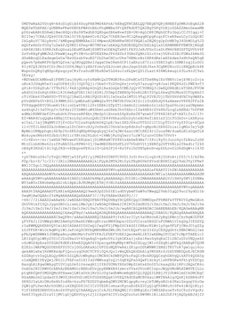 0MDTwNaA2YDcgN+A4oDlgOiA64DugPHA9MD4APsA/kEBgQTBCAELQQ7BEgEVQRjBHEEfgSMBJoEqAS2B
MQE0wThBPAE/gUNBRwFKwU6BUkFWAVnBXcFhgWWBaYFtQXFBdUF5QX2BgYGFgYnBjcGSAZZBmoGewaMB
p0GrwbABtEG4wb1BwcHGQcrBz0HTwdhB3QHhgeZB6wHvwfSB+UH+AgLCB8IMghGCFoIbgiCCJYIqgi+C
NII5wj7CRAJJQk6CU8JZAl5CY8JpAm6Cc8J5Qn7ChEKJwo9ClQKagqBCpgKrgrFCtwK8wsLCyILOQtRC
2kLgAuYC7ALyAvhC/kMEgwqDEMMXAx1DI4MpwzADNkM8w0NDSYNQA1aDXQNjg2pDcMN3g34DhMOLg5JD
mQOfw6bDrYO0g7uDwkPJQ9BD14Peg+WD7MPzw/sEAkQJhBDEGEQfhCbELkQ1xD1ERMRMRFPEW0RjBGqE
ckR6BIHEiYSRRJkEoQSoxLDEuMTAxMjE0MTYxODE6QTxRPlFAYUJxRJFGoUixStFM4U8BUSFTQVVhV4F
ZsVvRXgFgMWJhZJFmwWjxayFtYW+hcdF0EXZReJF64X0hf3GBsYQBhlGIoYrxjVGPoZIBlFGWsZkRm3G
d0aBBoqGlEadxqeGsUa7BsUGzsbYxuKG7Ib2hwCHCocUhx7HKMczBz1HR4dRx1wHZkdwx3sHhYeQB5qH
pQevh7pHxMfPh9pH5Qfvx/qIBUgQSBsIJggxCDwIRwhSCF1IaEhziH7IiciVSKCIq8i3SMKIzgjZiOUI
8Ij8CQfJE0kfCSrJNolCSU4JWgllyXHJfcmJyZXJocmtyboJxgnSSd6J6sn3CgNKD8ocSiiKNQpBik4K
WspnSnQKgIqNSpoKpsqzysCKzYraSudK9EsBSw5LG4soizXLQwtQS12Last4S4WLkwugi63Lu4vJC9aL
5Evxy/
+MDUwbDCkMNsxEjFKMYIxujHyMioyYzKbMtQzDTNGM38zuDPxNCs0ZTSeNNg1EzVNNYc1wjX9Njc2cja
uNuk3JDdgN5w31zgUOFA4jDjIOQU5Qjl/Obw5+To2OnQ6sjrvOy07azuqO+g8JzxlPKQ84z0iPWE9oT3
gPiA+YD6gPuA/IT9hP6I/4kAjQGRApkDnQSlBakGsQe5CMEJyQrVC90M6Q31DwEQDREdEikTORRJFVUW
aRd5GIkZnRqtG8Ec1R3tHwEgFSEtIkUjXSR1JY0mpSfBKN0p9SsRLDEtTS5pL4kwqTHJMuk0CTUpNk03
cTiVObk63TwBPSU+TT91QJ1BxULtRBlFQUZtR5lIxUnxSx1MTU19TqlP2VEJUj1TbVShVdVXCVg9WXFa
pVvdXRFeSV+BYL1h9WMtZGllpWbhaB1pWWqZa9VtFW5Vb5Vw1XIZc1l0nXXhdyV4aXmxevV8PX2Ffs2A
FYFdgqmD8YU9homH1YklinGLwY0Njl2PrZEBklGTpZT1lkmXnZj1mkmboZz1nk2fpaD9olmjsaUNpmmn
xakhqn2r3a09rp2v/bFdsr20IbWBtuW4SbmtuxG8eb3hv0XArcIZw4HE6cZVx8HJLcqZzAXNdc7h0FHR
wdMx1KHWFdeF2Pnabdvh3VnezeBF4bnjMeSp5iXnnekZ6pXsEe2N7wnwhfIF84X1BfaF+AX5ifsJ/I3+
Ef+WAR4CogQqBa4HNgjCCkoL0g1eDuoQdhICE44VHhauGDoZyhteHO4efiASIaYjOiTOJmYn+imSKyos
wi5aL/IxjjMqNMY2Yjf+OZo7OjzaPnpAGkG6Q1pE/kaiSEZJ6kuOTTZO2lCCUipT0lV+VyZY0lp+XCpd
1l+CYTJi4mSSZkJn8mmia1ZtCm6+cHJyJnPedZJ3SnkCerp8dn4uf+qBpoNihR6G2oiailqMGo3aj5qR
WpMelOKWpphqmi6b9p26n4KhSqMSpN6mpqhyqj6sCq3Wr6axcrNCtRK24ri2uoa8Wr4uwALB1sOqxYLH
WskuywrM4s660JbSctRO1irYBtnm28Ldot+C4WbjRuUq5wro7urW7LrunvCG8m70VvY+
+Cr6Evv+/er/1wHDA7MFnwePCX8Lbw1jD1MRRxM7FS8XIxkbGw8dBx7/IPci8yTrJuco4yrfLNsu2zDX
Mtc01zbXONs62zzfPuNA50LrRPNG+0j/SwdNE08bUSdTL1U7V0dZV1tjXXNfg2GTY6Nls2fHadtr724D
cBdyK3RDdlt4c3qLfKd+v4DbgveFE4cziU+Lb42Pj6+Rz5PzlhOYN5pbnH+ep6DLovOlG6dDqW+rl63D
r+
+yG7RHtnO4o7rTvQO/M8Fjw5fFy8f/yjPMZ86f0NPTC9VD13vZt9vv3ivgZ+Kj5OPnH+lf65/t3/Af8m
P0p/br+S/7c/23//2Rlc2MAAAAAAAAALklFQyA2MTk2Ni0yLTEgRGVmYXVsdCBSR0IgQ29sb3VyIFNwY
WNlIC0gc1JHQgAAAAAAAAAAAAAAAAAAAAAAAAAAAAAAAAAAAAAAAAAAAAAAAAAAAAAAAAAAAAAAAAAAA
AAAAAAAAAAAAAAAAAAAAAAAAAAAAAAAAAAAAABYWVogAAAAAAAAYpkAALeFAAAY2lhZWiAAAAAAAAAAA
ABQAAAAAAAAbWVhcwAAAAAAAAABAAAAAAAAAAAAAAAAAAAAAAAAAAAAAAACWFlaIAAAAAAAAAMWAAADM
wAAAqRYWVogAAAAAAAAb6IAADj1AAADkHNpZyAAAAAAQ1JUIGRlc2MAAAAAAAAALVJlZmVyZW5jZSBWa
WV3aW5nIENvbmRpdGlvbiBpbiBJRUMgNjE5NjYtMi0xAAAAAAAAAAAAAAAAAAAAAAAAAAAAAAAAAAAAA
AAAAAAAAAAAAAAAAAAAAAAAAAAAAAAAAAAAAAAAAAAAAAAAAAAAAAAAAAAAAAAAAAAAAABYWVogAAAAA
AAA9tYAAQAAAADTLXRleHQAAAAAQ29weXJpZ2h0IEludGVybmF0aW9uYWwgQ29sb3IgQ29uc29ydGl1b
SwgMjAwOQAAc2YzMgAAAAAAAQxEAAAF3///8yYAAAeUAAD9j///
+6H///2iAAAD2wAAwHX/2wBDAAYEBQUFBAYFBQUHBgYHCQ8KCQgICRMNDgsPFhMXFxYTFRUYGyMeGBoh
GhUVHikfISQlJygnGB0rLismLiMmJyb/2wBDAQYHBwkICRIKChImGRUZJiYmJiYmJiYmJiYmJiYmJiYm
JiYmJiYmJiYmJiYmJiYmJiYmJiYmJiYmJiYmJiYmJib/wgARCALQA8ADACIAAREBAhEB/8QAGwAAAgMB
AQEAAAAAAAAAAAAAAQIAAwQFBgf/xAAaAQADAQEBAQAAAAAAAAAAAAAAAQIDBAUG/8QAGgEAAwEBAQEA
AAAAAAAAAAAAAAECAwQFBv/aAAwDAAABEQIRAAAB9jYz82srICyt0aUMsUsKJyBgLKWnjCkrRgWJZFEK
yFYFAJlI2VWWq0dM2ZAm0gY0BakhYWBcgEtrarNM9Ompsr0ZLVUIzox0BSGCuFUBWA1VlkgDgJIEZXYQ
rIaKWMQQhERAVQYCwiADIADAAYC0SCwQlCwgDFZjFWpSSCkkGZIINAxrKLWrIy0qa9FLFjCWsJCtgZZg
LUJFFDK+WiOrAqWVy1W1JaFohQ0CNYbQMRhMRAZWhiMiYsUtEQsFtdrSI6SyCESQgGhYrSNNIWhGjIws
pFb2pWZNWWkIJDWRpaBoyuMAUMstFsUFYFAJLFDEFYOEEIQwoAeNLIE5IwAEMgIFCCxCYiMpYTAEEicI
LRIZqSCglWEy200iCJZsSNazU+kSqxAqS+qaRoU6zIgkOEka1jsEx1KwoSq6qKaCIi2BCuGYzVNQyx6S
o6oWGS4pEsxS0ZGA2KdEKrEhmESQgA0kYSpacqaRBgMRptWFbdIXLqyjWIc6ZXqB1gRFkQJAABgKYQUM
E2EZolWAFWQGDDEhEFZU5CojDGLGAKxALCGF0ZoMQEVwAkiZKlpoDShWNWKIEMdlTKU7nR7gwlqui6oo
qwkAMlwhwjR6WKBsdpFjQouryqOhHCVCFSi0Q6JQzIrWxQEhQEdZbAlgYM0XRrSJZXDYMEGQsEJECRSM
kZGRgtvr0aQLBLQy6M0tSZLQNJcWRgRgiCMCB4CkSWBYQVkcFaQCrBokROQQCsghDAVgQikATU4QSA5g
oIaNQMEIYEyQwjJKUJlJTAFosS1XIIdzVWWnaq5zQltSqK4QFaS4QwF1drAytlsRFBGKw4FktgVZDCgu
BasqhAiKgwGWAygTI0VjgLUe0iOsswgRIjIYAYGCMkYHDs0WpZtmUakDn0Z5ckaagZArjRFcJAQsCK6o
UsAUx2K0IRWVDrABhAzBEAMGorBERoEUsypyENW4B4IxmrsYVasUVonBCIspoJWypUMoWhXZWHVEILLn
ptqRRfQmYIMGSQMrATHawwjLWIxGtbjNrGicUgIwdhWRomRgBZCQiSQQZILRBjJYjUhW4lmSIkDNCEgC
RSaAMe2m2lpdadI0JWUSjRnGVdIoMIhTGZXDEQq41V0EQYAdCEaMCB0kau1WKYBkAigJQsKjkZBB4oFY
4K8DJIwLHrDNz8eHhfodPm+kzuFH7ESDSYqbmAqDWV2MCW1gpgRc+eylbTdWysMJckIKwiGsqspY6rGw
2QW1gFLSwrAArhOGBhiukZBQGDS1hCICrUYEZKlomuxoKyoaEoEkZDIyQlqFhSW6u9i6Fe4iWJQlNiy1
VjFIXREEDRBVOOrAoZkVFgDCQIRAABQysjCrAJGiFBAQMG1V1SMKgLEcJIWKZAKsoeTv6nC8zSzVqoRr
6eHf35gybJ2ra5IjMVlgOjQEhVOyyt2jIrSgwYkCIViGsQ0srhstRW9Mt1BliAS2hFJ4jAQ0pABJdjIU

 
