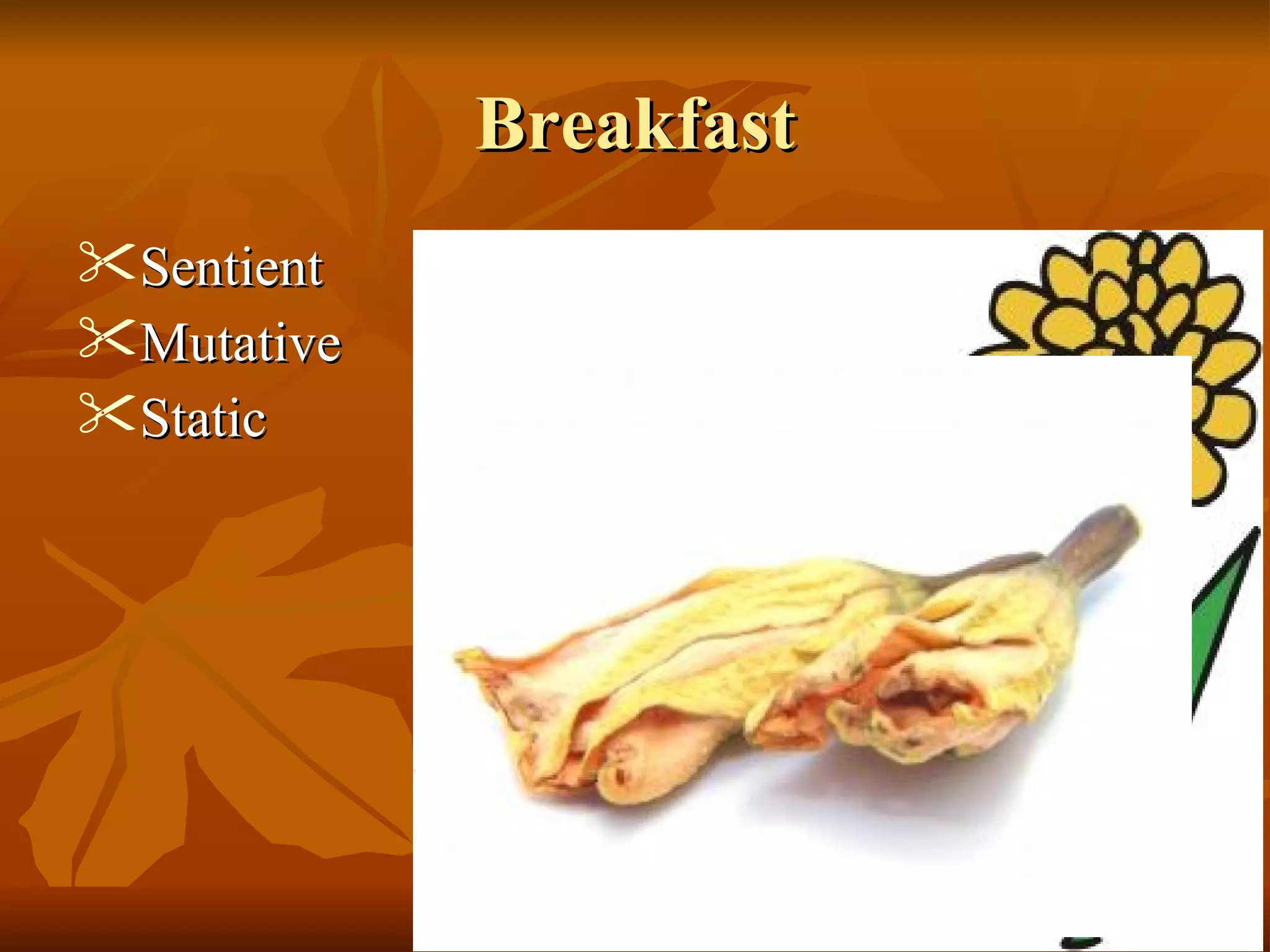 BreakfastBreakfast
 SentientSentient
 MutativeMutative
 StaticStatic
 