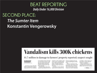 BEAT REPORTING
DailyUnder16,000Division
SECOND PLACE:
The Sumter Item
Konstantin Vengerowsky
$1.7 million in damage to farmers’ property reported; suspect sought
Vandalismkills300Kchickens
Clarendon County Sheriff’s
Office is seeking the suspects
responsible for the vandalism
of 16 chicken houses through-
out Clarendon County in the
last two weeks that has left
300,000 chickens dead and
caused as much as $1.7 mil-
lion in damage.
Chicken houses have been
targeted sporadically from the
northern to the southern ends
of the county, including Man-
ning, Gable and Summerton
areas. A chicken house in
Sumter County was also hit
last week.
Clarendon County Sheriff
Randy Garrett said all of the
farmers targeted were con-
tracted with Pilgrim’s Pride
Corp.
“There is someone in the
community who knows some-
thing about these criminal
acts,” Garrett said at a press
conference held in Manning
on Friday. “All we want is in-
formation to help catch the
suspect or suspects.”
Garrett said whoever is re-
sponsible for the crimes is fa-
miliar with the alarm systems
BY KONSTANTIN
VENGEROWSKY
konstantin@theitem.com
SEE VANDAL, PAGE A7
 