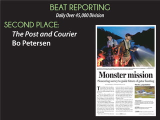 BEAT REPORTING
DailyOver45,000Division
SECOND PLACE:
The Post and Courier
Bo Petersen
The S.C. populationBY BO PETERSEN || bopete@postandcourier.com
Monstermission
PAUL ZOELLER/STAFF
Chris Boyce, technician, aims a spotlight out into the water looking for the glow of alligator eyes as Jay Butfiloski, S.C. Department of
Natural Resources wildlife biologist, navigates the boat Aug. 20 on the Cooper River.
Pioneering survey to guide future of gator hunting
T
hespotlightshinesintogleam-
ing red eyes. On the boat in
the Cooper River under a half
moon, the wildlife biologist calls out
the count.
“I have two, three, maybe 8 to 10
feet,” says Jay Butfiloski of S.C. De-
partment of Natural Resources.
That’s alligators, in the tidal flats of
an old rice field, glaring back at the
weird, blinding beam of light.
TheAmericanalligatoristhetoothy
prehistoric monster of the Lowcoun-
try, as frightening as it is awe-inspir-
ing. For some people, coming across
one makes for a catch-your-breath
moment that tugs at the love for the
land.Forothers,theanimalisamen-
ace to be rid of.
More than 1,000 of the otherwise
protected species are killed in the
state each year, by hunters seeking
the largest animals, and occasionally
poachers. That’s raised alarms about
depleting the mature “brood stock”
vital to a sustainable population. In
the 2014 public hunt alone, the aver-
age size of the kill was 8 feet long, ac-
cording to DNR.
The count by a research team on
thishumidAugustnightisbeingcon-
ducted only a few weeks before the
Sept. 12 opening of the 2015 public
hunt, now in its eighth year, and a
few months after the end of a nine-
month-long private land hunt.
It’s the first comprehensive state
survey,fundedbypublichuntlicense
FILE/STAFF
Please see GATORS,Page A6
100,000: The conventional estimate
of American alligators in the state. The number
is based on historical counts and is not consid-
ered reliable.
4,500: Applicants for the 2015 public
alligator hunt September-October.
1,000:Public hunt permits issued in 2015.
—Source:S.C.DepartmentofNaturalResources
 