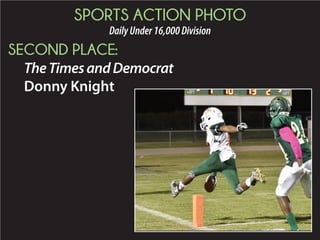 2015 Daily Newspaper Awards Presentation