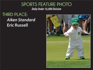 2015 Daily Newspaper Awards Presentation