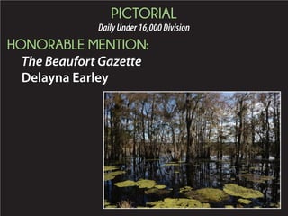 2015 Daily Newspaper Awards Presentation