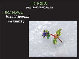 2015 Daily Newspaper Awards Presentation