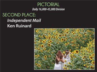 2015 Daily Newspaper Awards Presentation