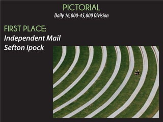 2015 Daily Newspaper Awards Presentation