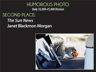 2015 Daily Newspaper Awards Presentation