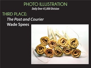 2015 Daily Newspaper Awards Presentation