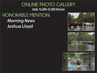 2015 Daily Newspaper Awards Presentation