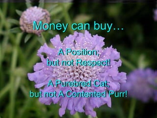 Money can buyA Position;but not Respect!A Purebred Cat;but not A Contented Purr!