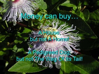 Money can buyA House;but not A Home!A Pedigreed Dog;but not The Wag Of Its Tail!