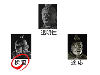 透明性
検 査 適 応
 