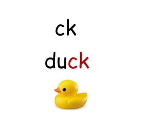 ck
duck
 
