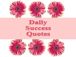 Daily  Success Quotes 